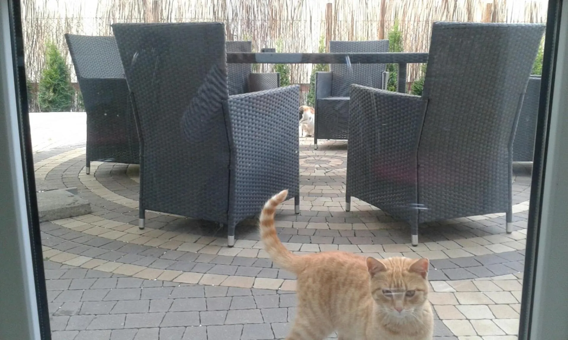 Patio in Gościniec Margo