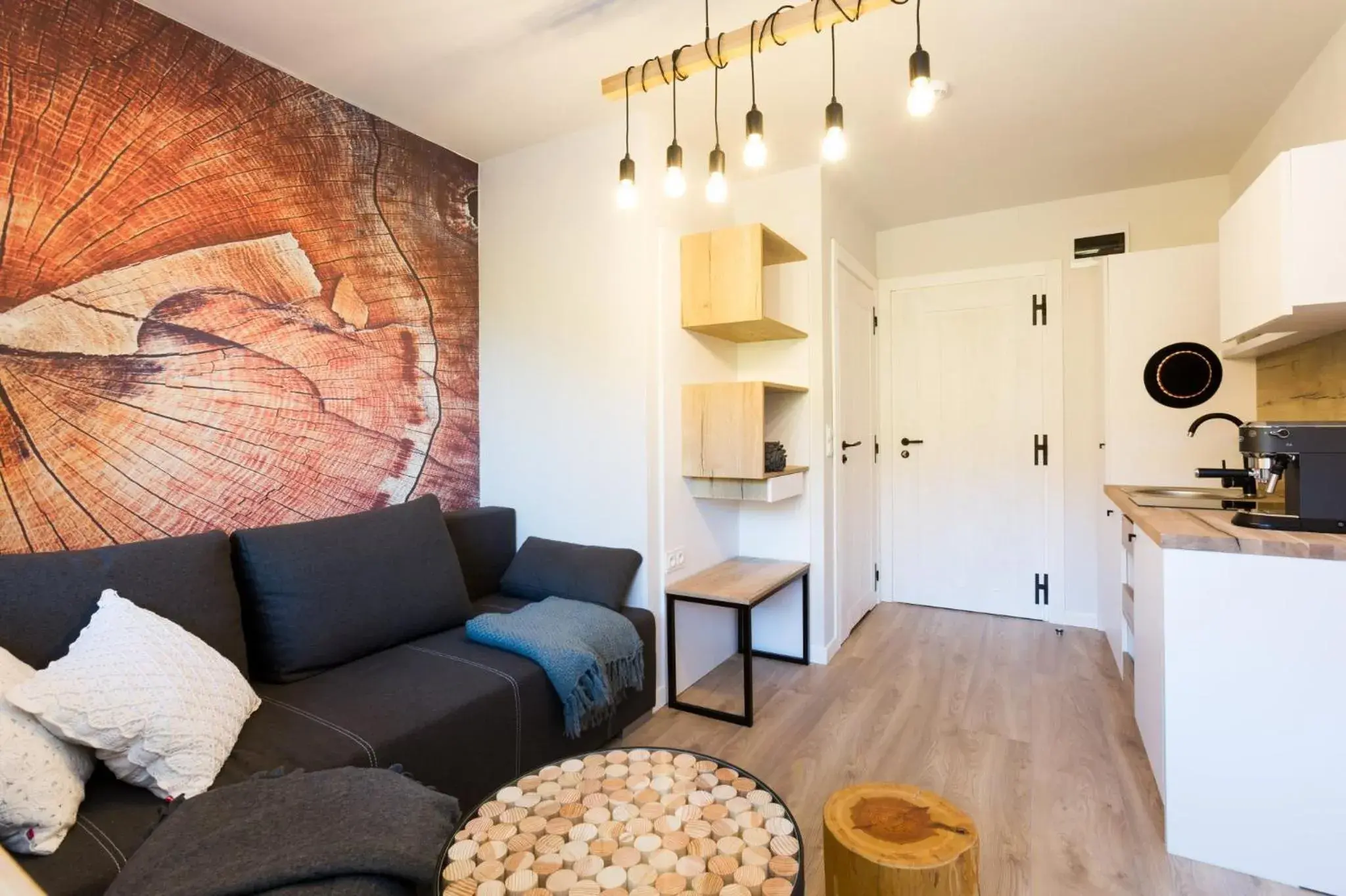 Studio Apartment in Apartamenty Willa Marko z sauną, grillowiskiem i rowerownią - Dream Apart Studio Apartment in Apartamenty Willa Marko z sauną, grillowiskiem i rowerownią - Dream Apart