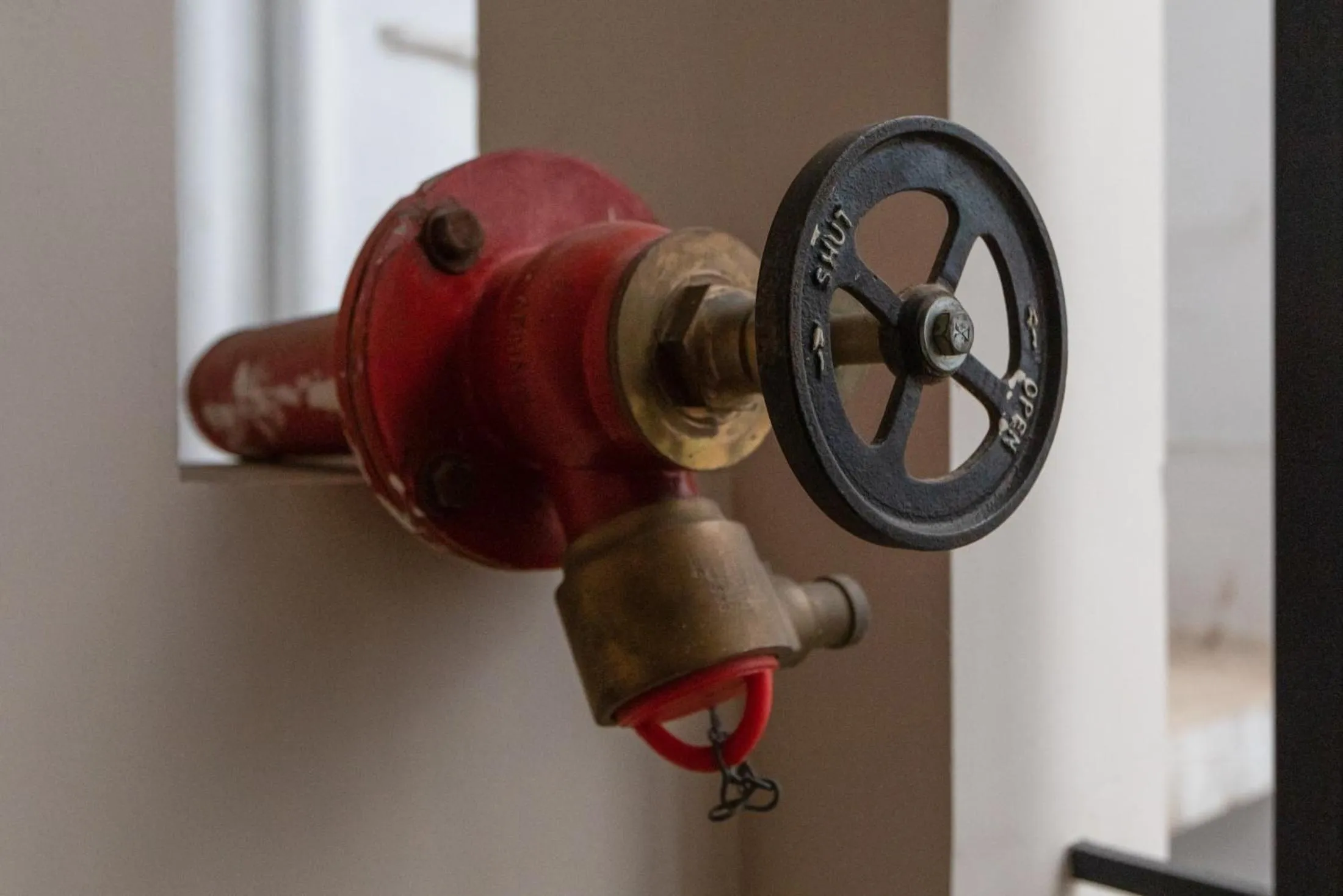 Area and facilities in Hotel Vashanth Krishna