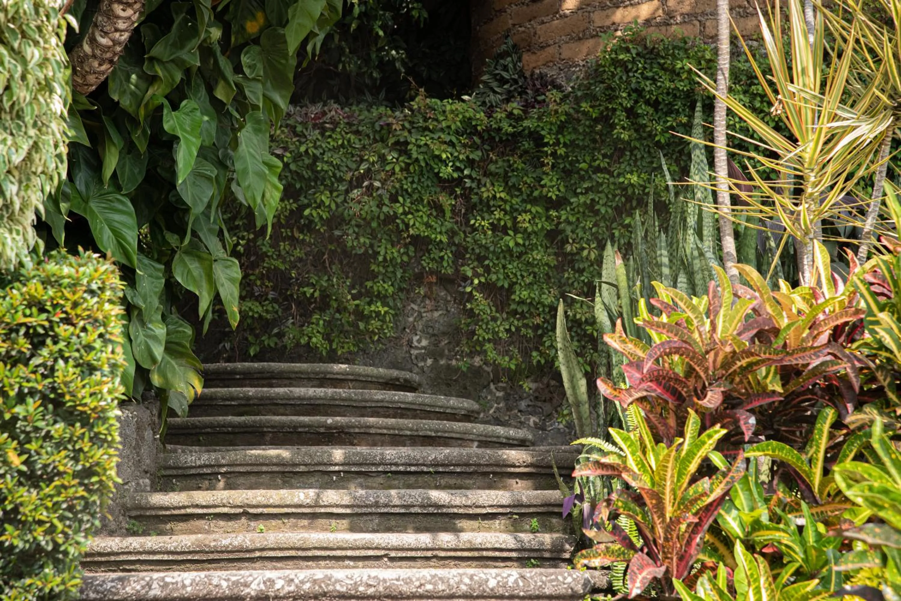 Garden in Posada del Tepozteco - Hotel & Gallery