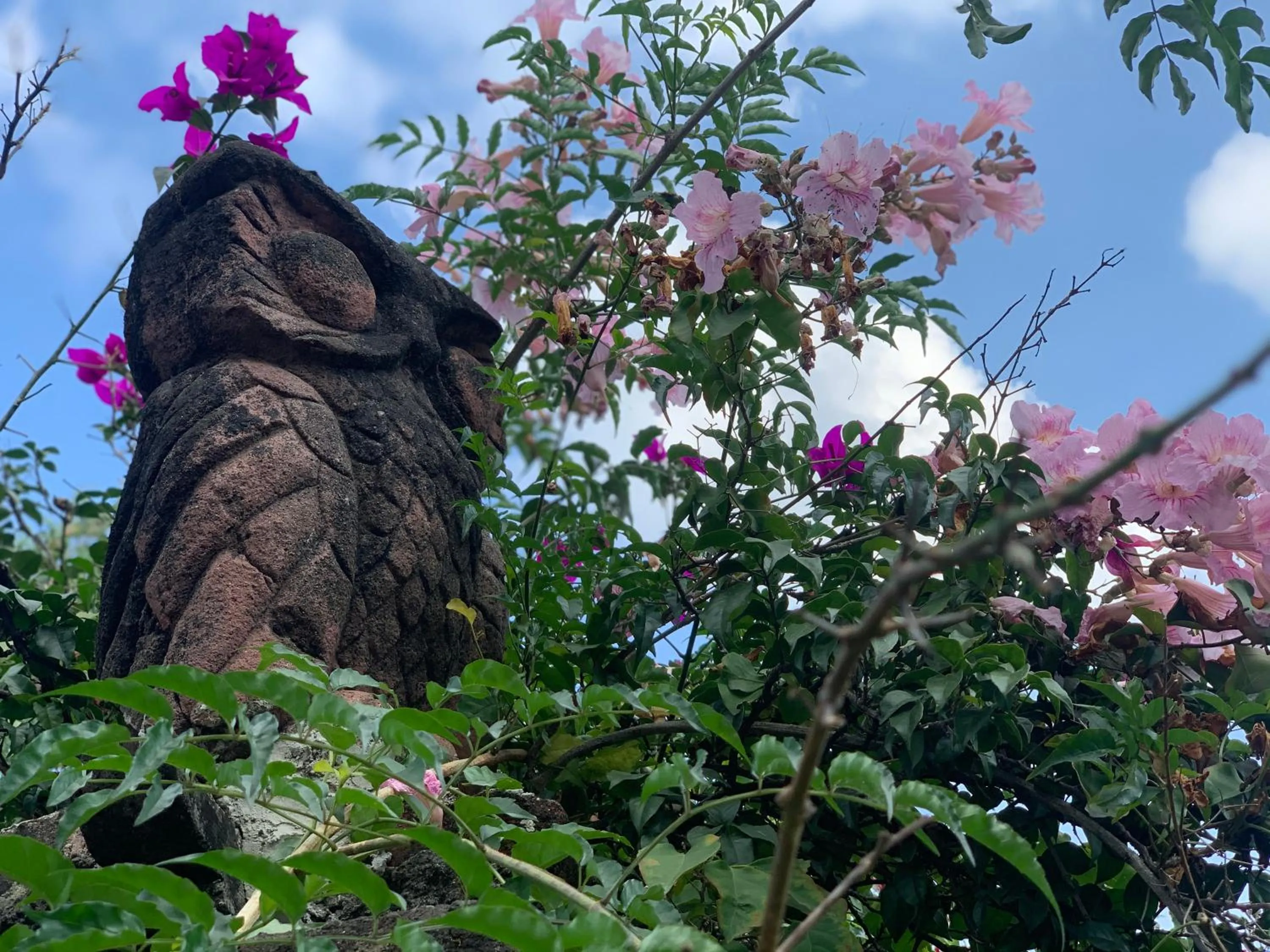 Garden in Posada del Tepozteco - Hotel & Gallery