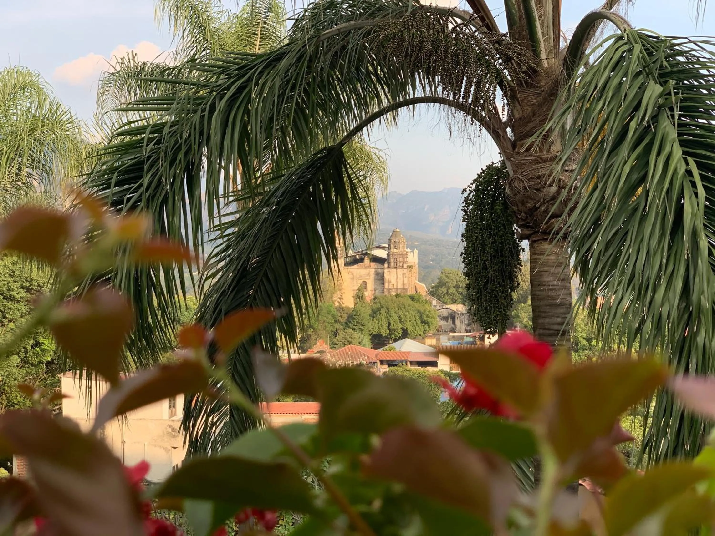 Garden in Posada del Tepozteco - Hotel & Gallery