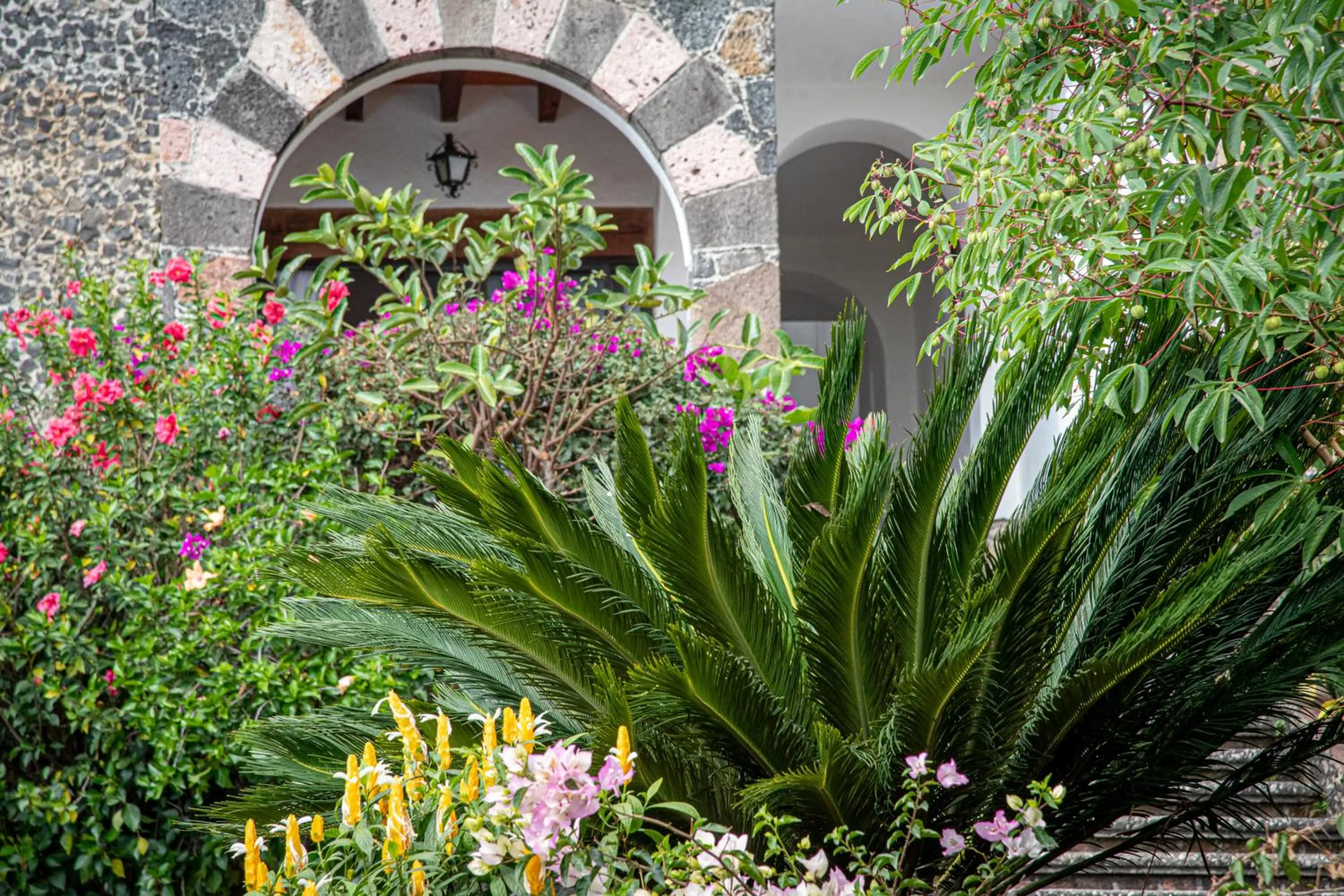 Garden in Posada del Tepozteco - Hotel & Gallery