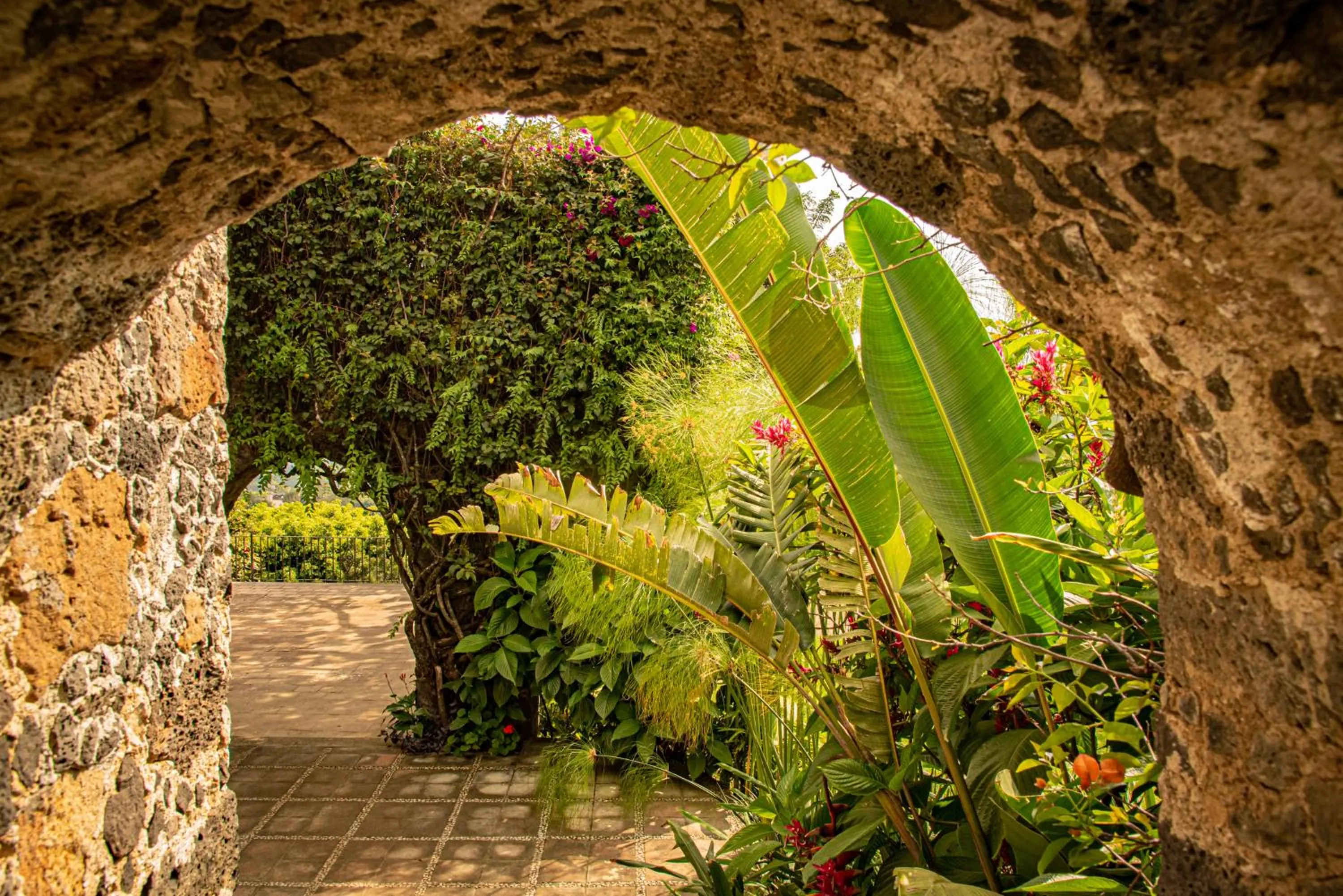 Garden in Posada del Tepozteco - Hotel & Gallery