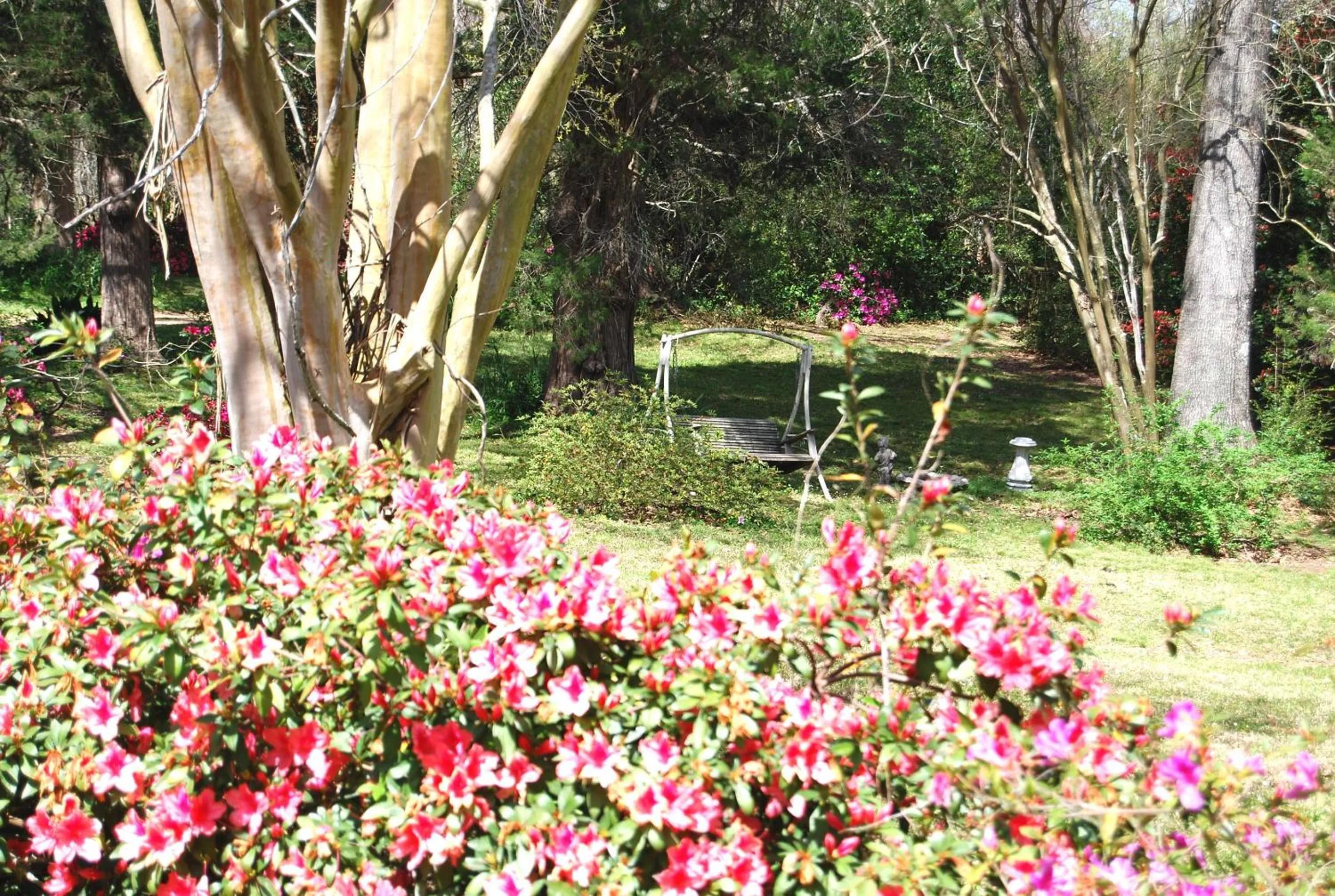 Area and facilities in Glenfield Plantation Historic Antebellum Bed and Breakfast