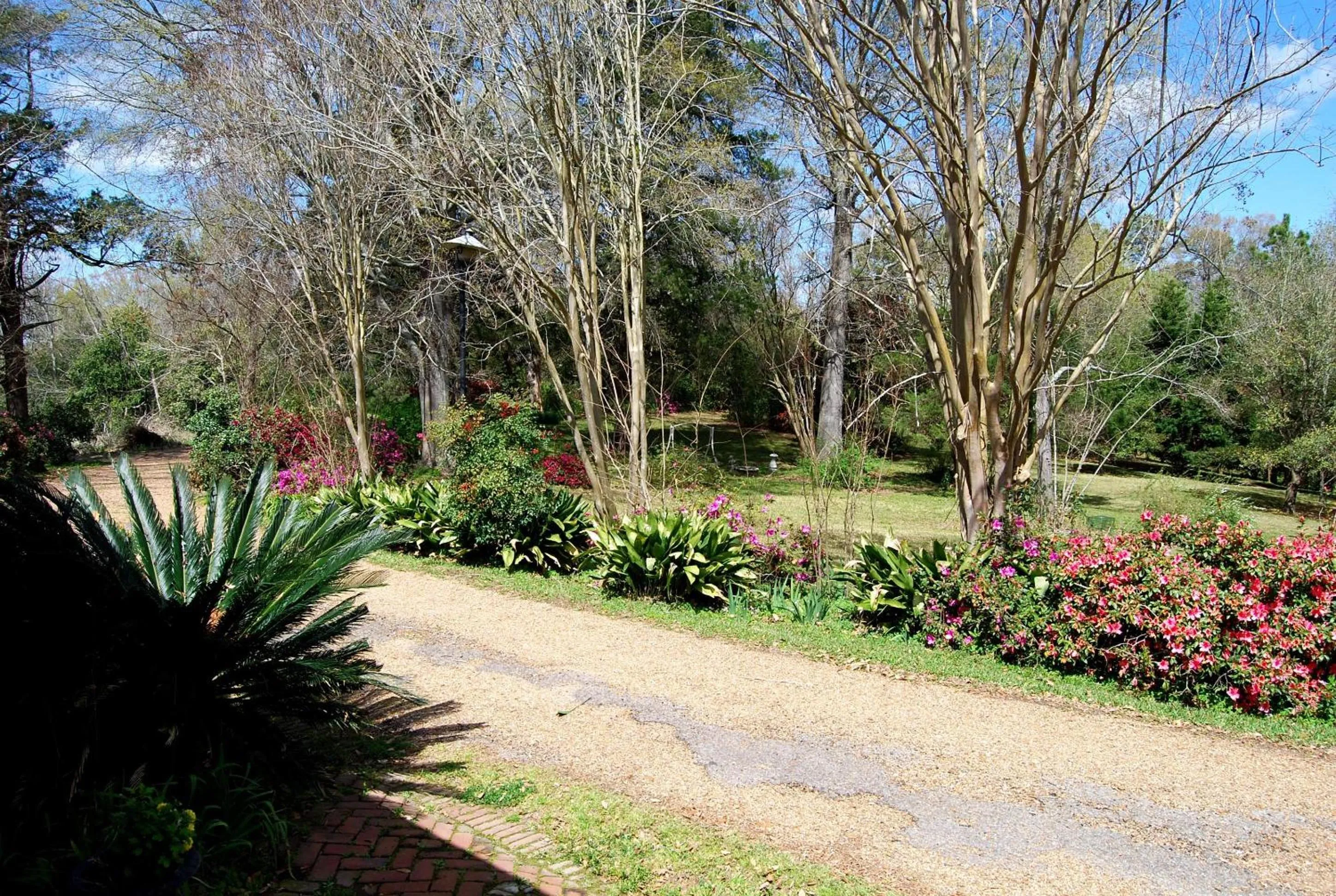 Area and facilities in Glenfield Plantation Historic Antebellum Bed and Breakfast