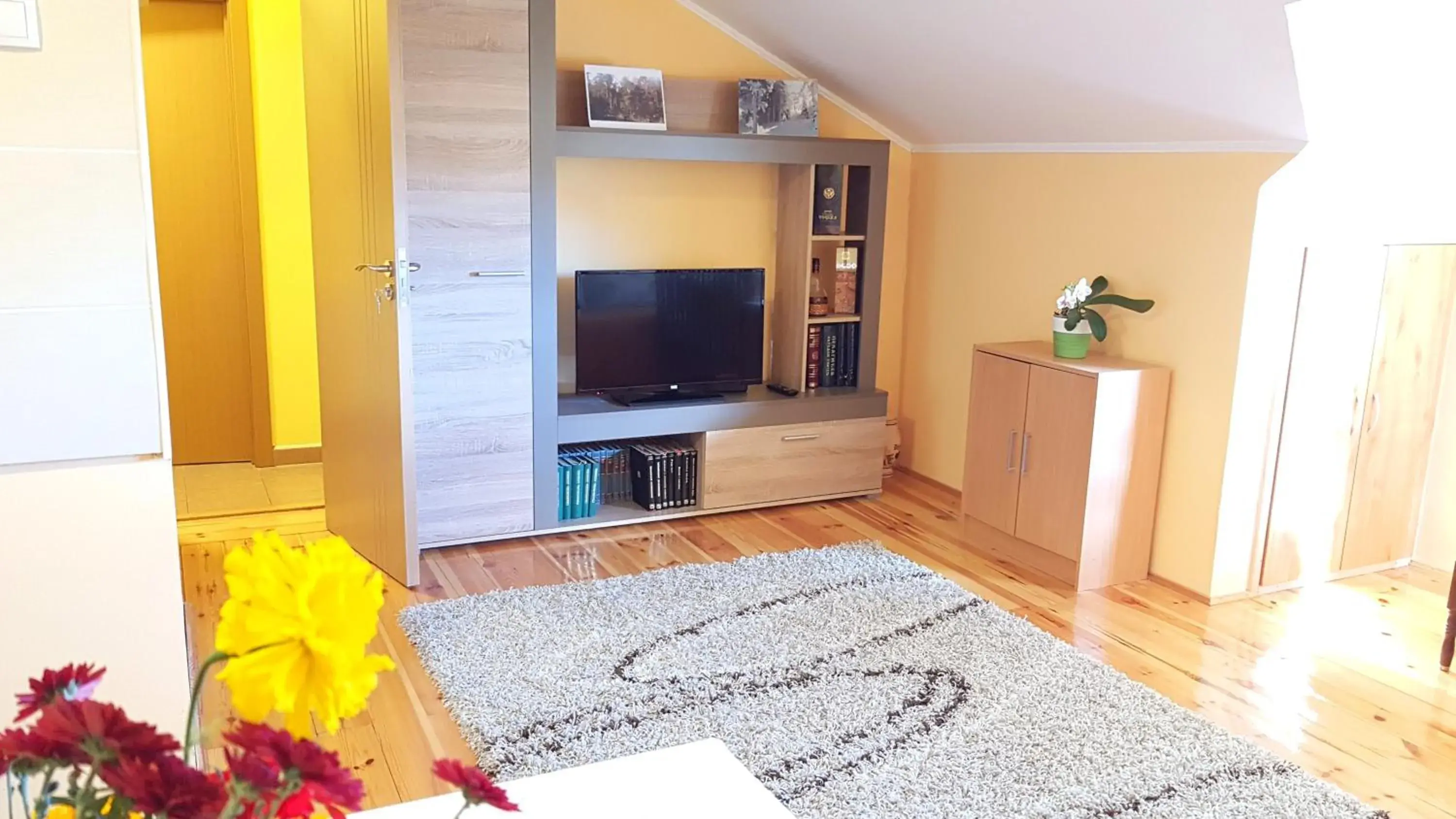 Zlatibor Apartmani DM Tornik Zlatibor Apartmani DM Tornik