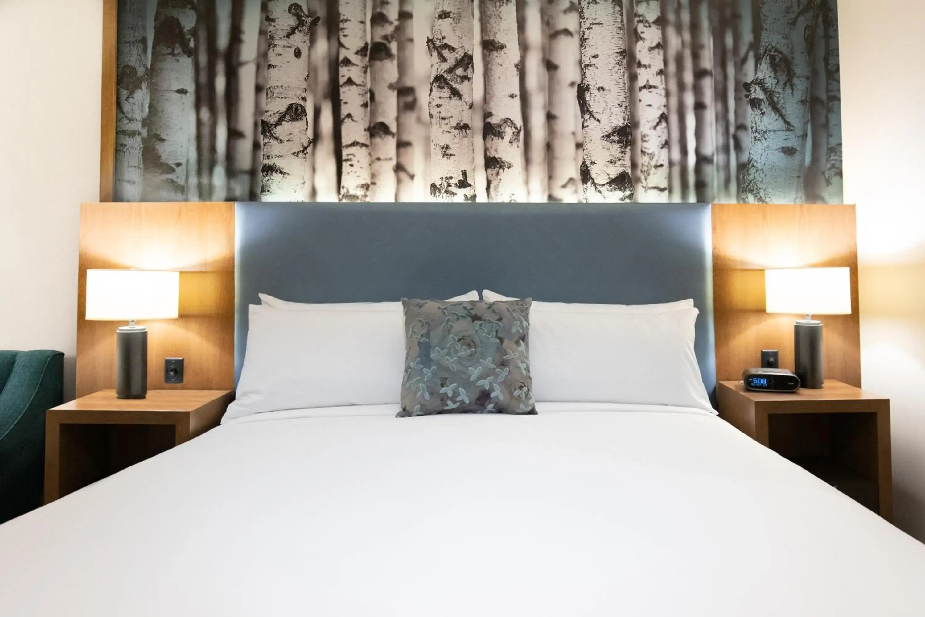 Deluxe Single Room - single occupancy in The Alder Deluxe Single Room - single occupancy in The Alder