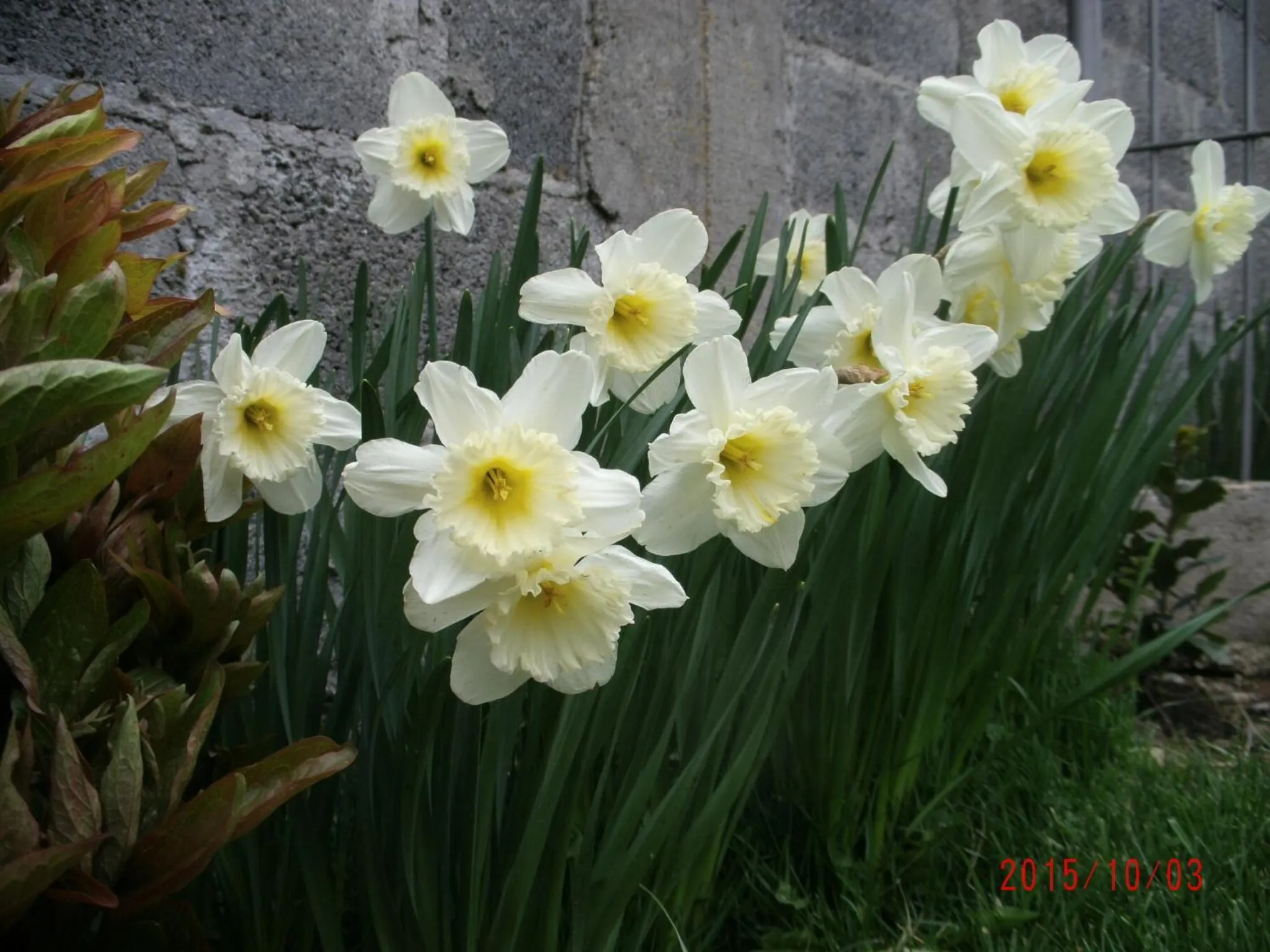 Spring in Casa Campo