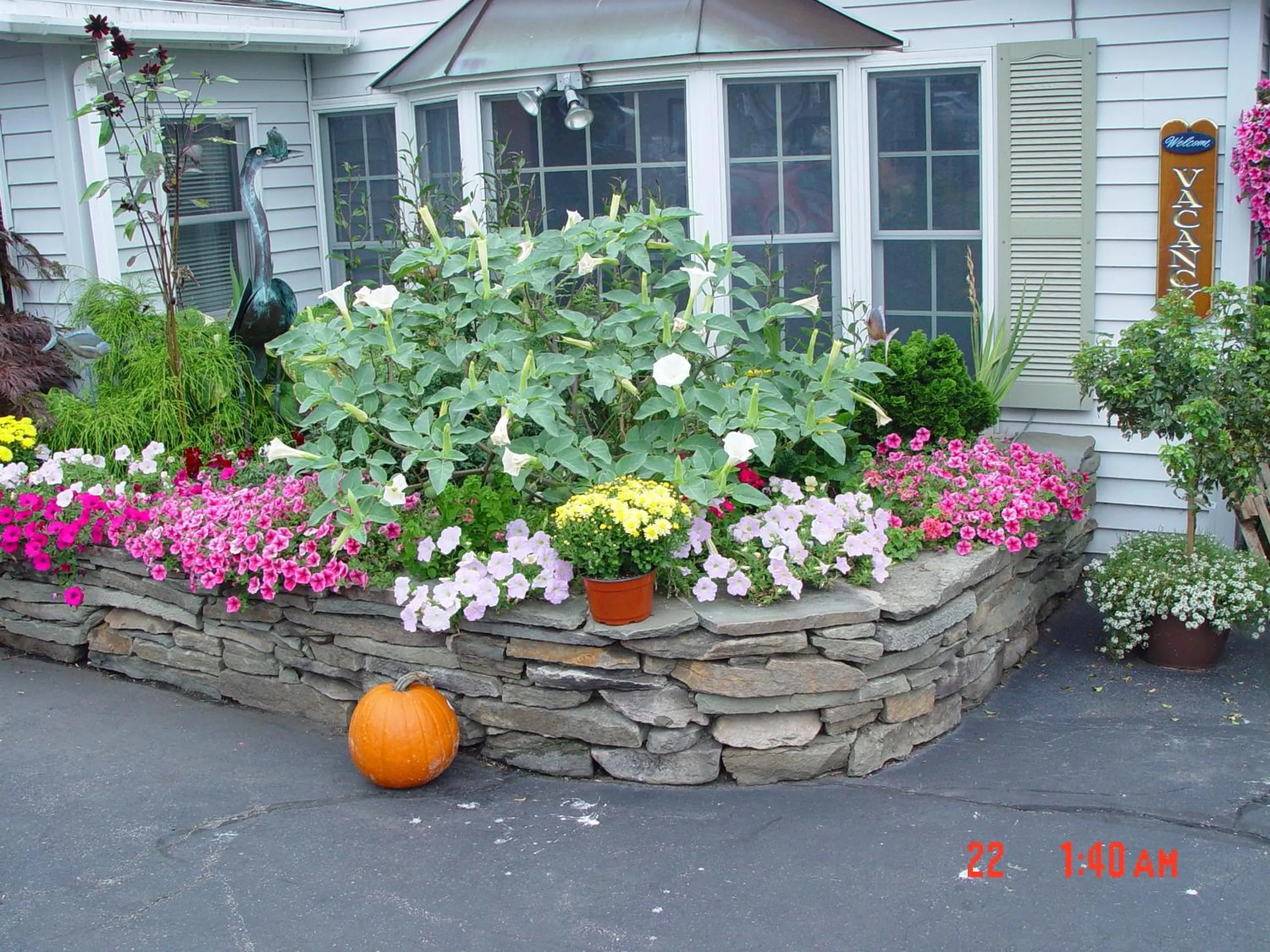 Garden in Browns Wharf Inn
