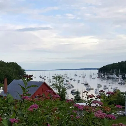 View (from property/room) in Starlight Lodge at Rockport Harbor