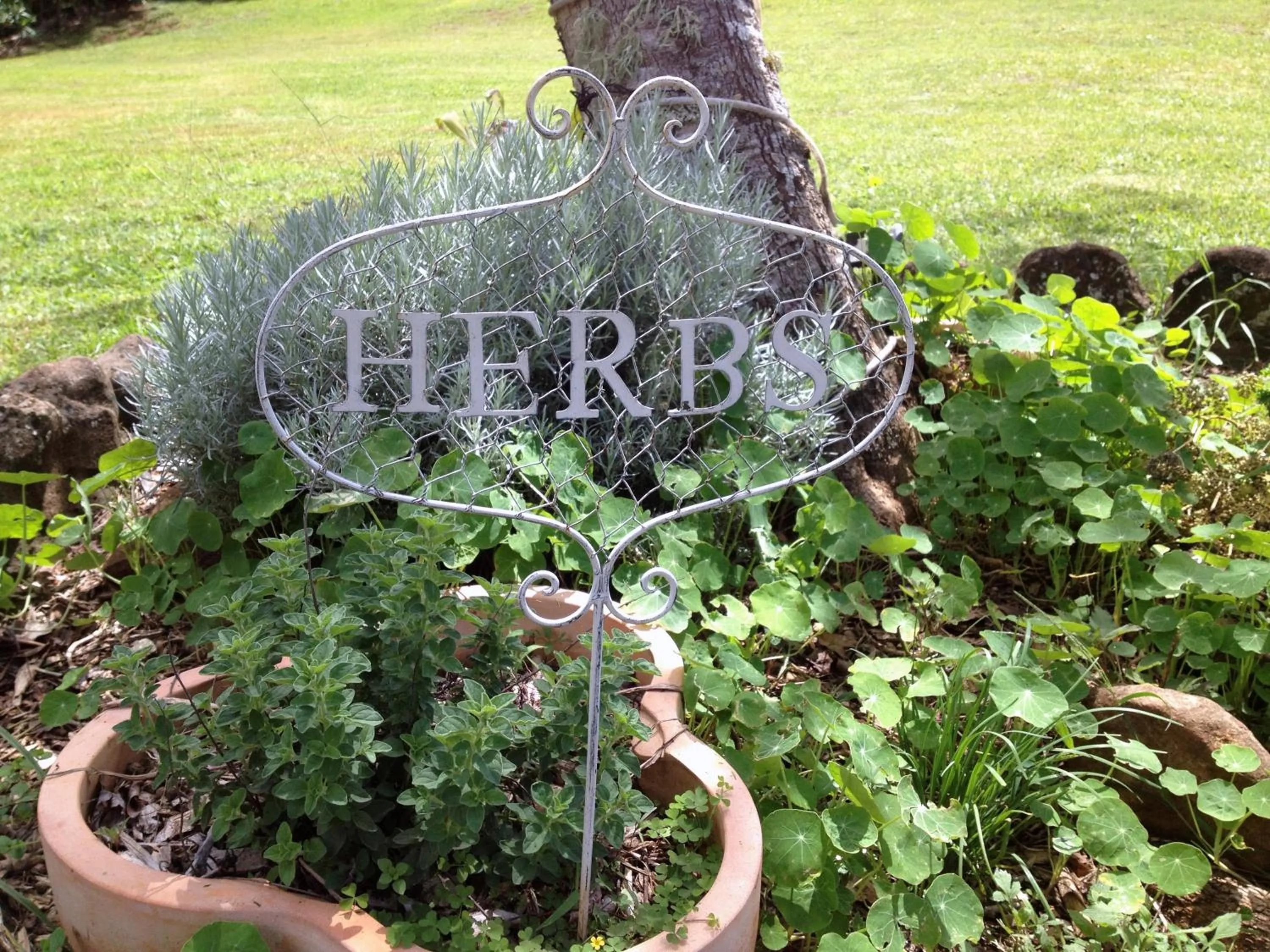 Garden in Mapleton Falls Accommodation