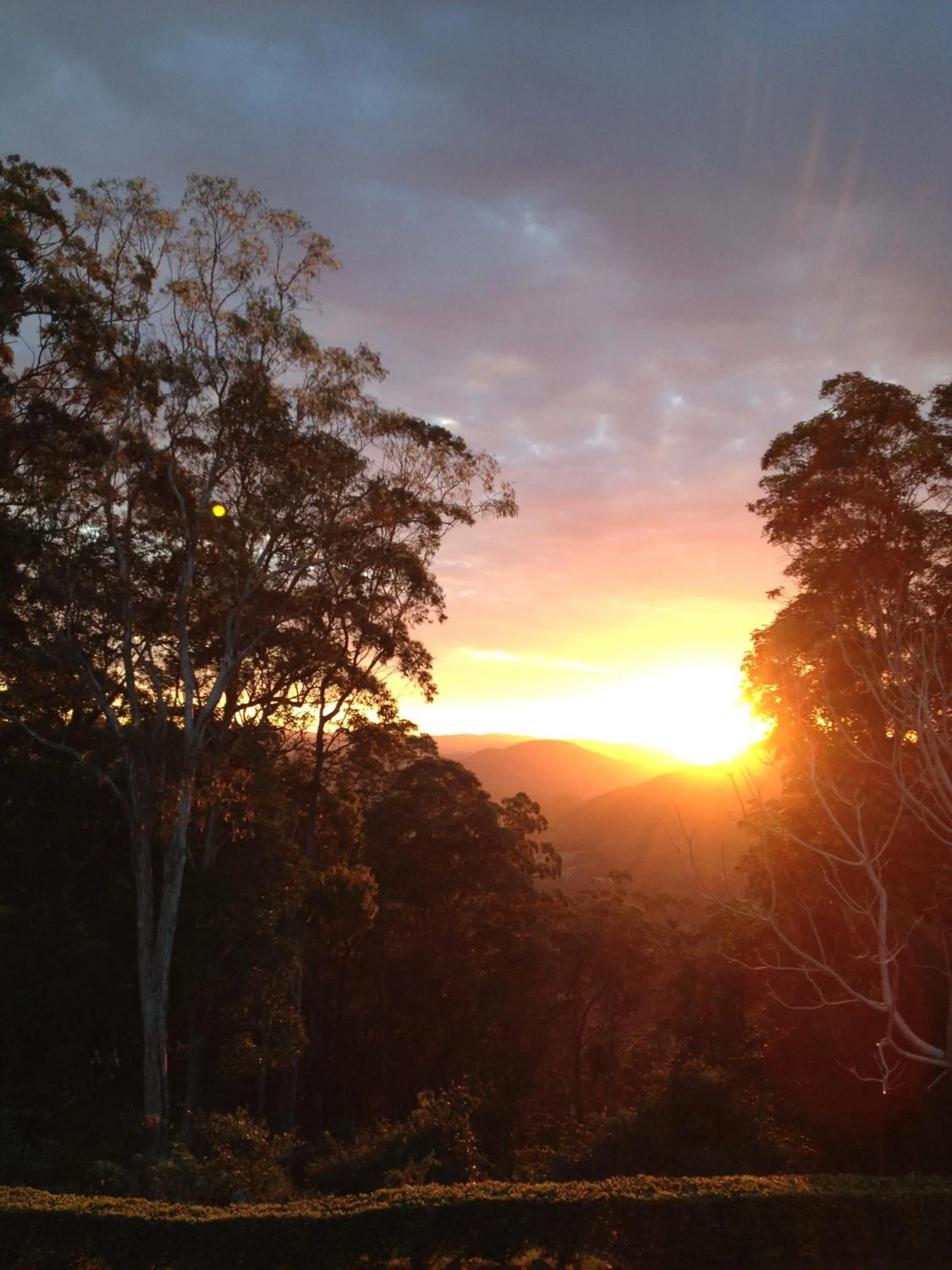Garden view in Mapleton Falls Accommodation