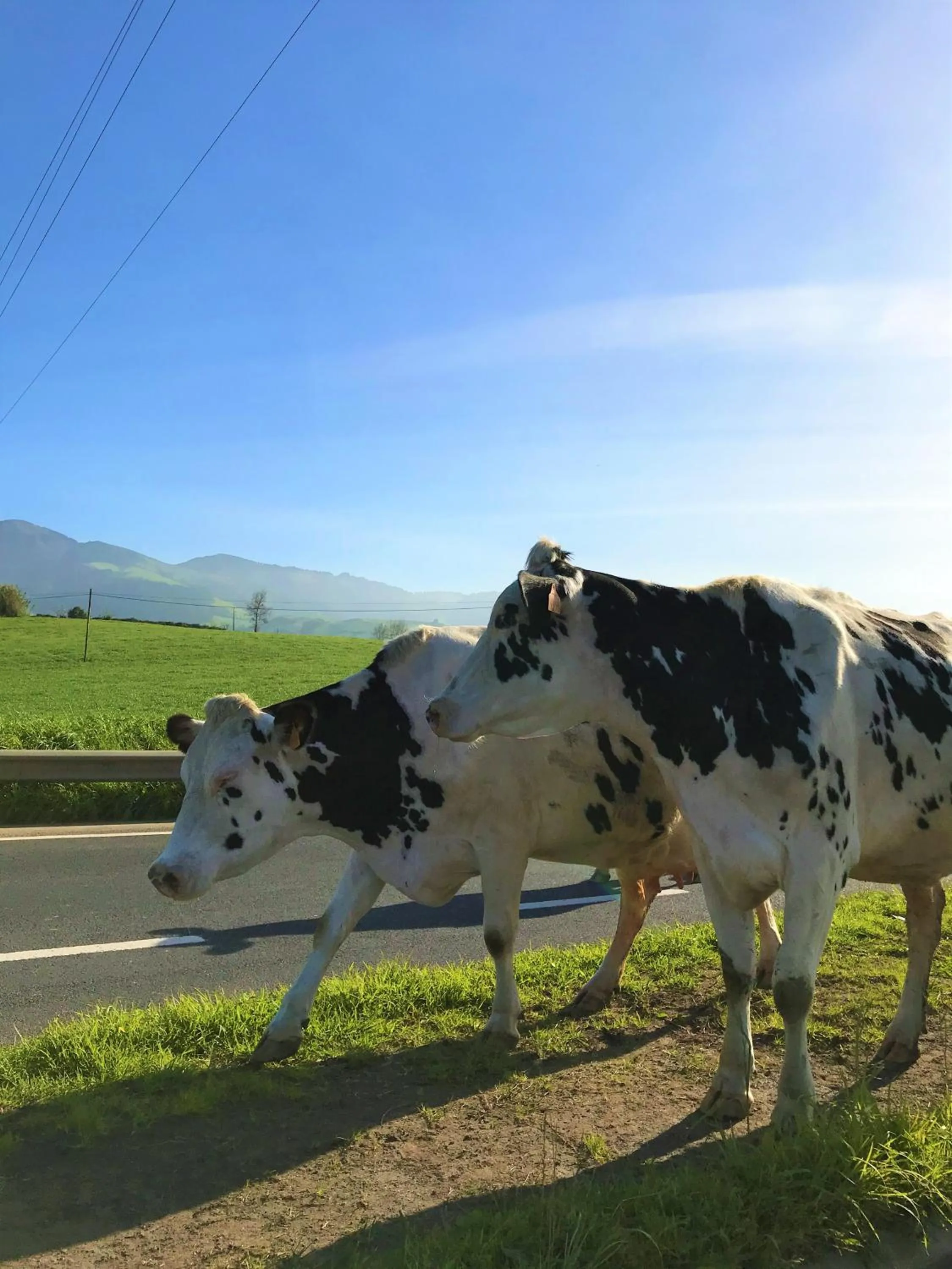 CASA INTI / INTI HOUSE FURNAS