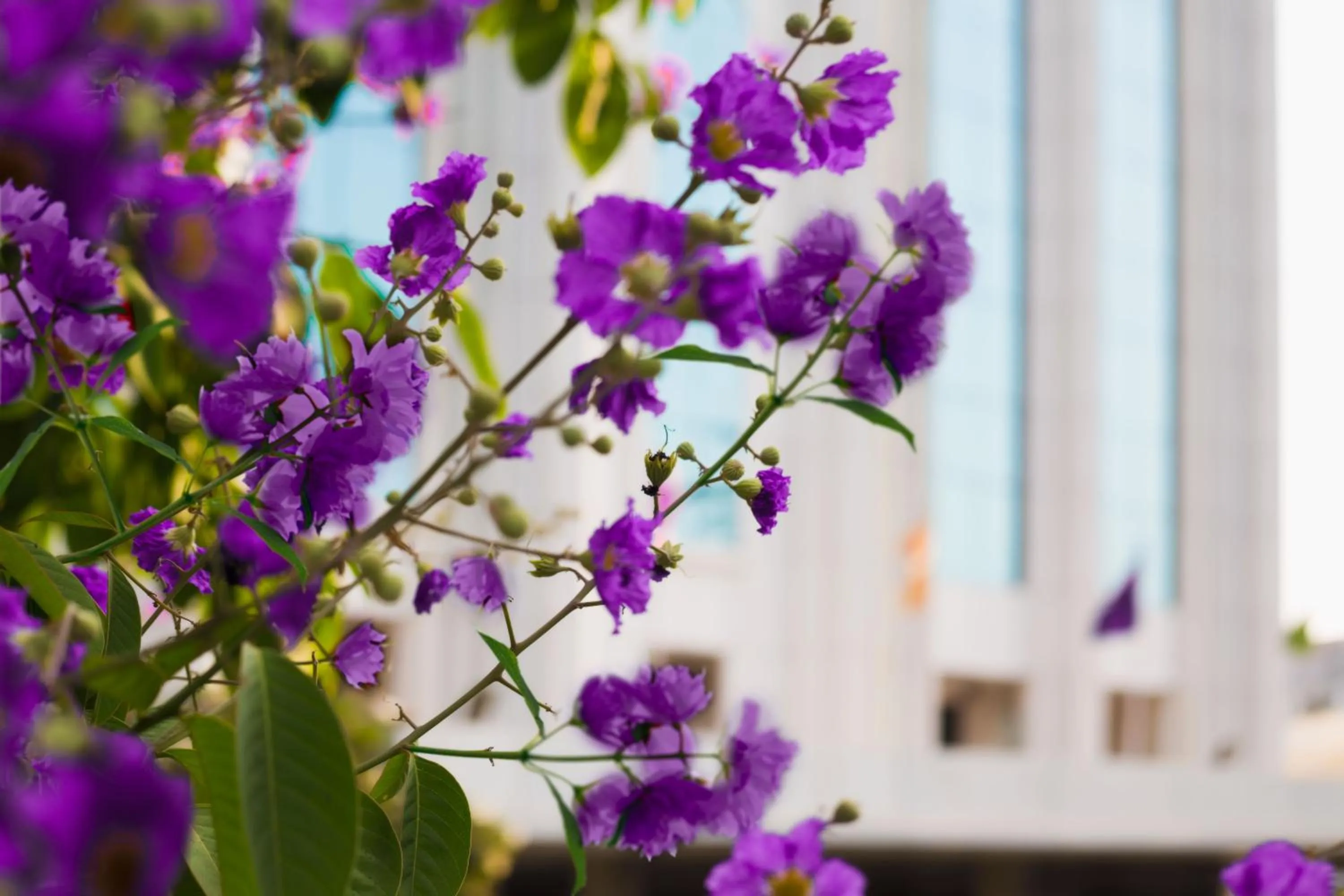 Facade/entrance in Clarion Hotel President Chennai
