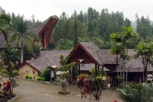 Bird's eye view in Hotel Sahid Toraja Bird's eye view in Hotel Sahid Toraja