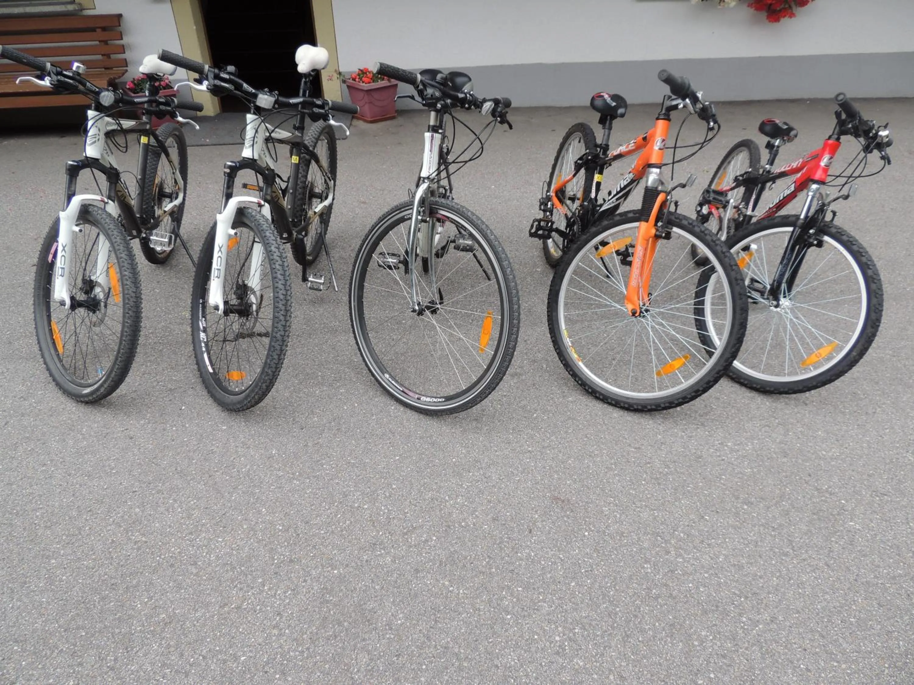 Cycling in Haus Gafrina