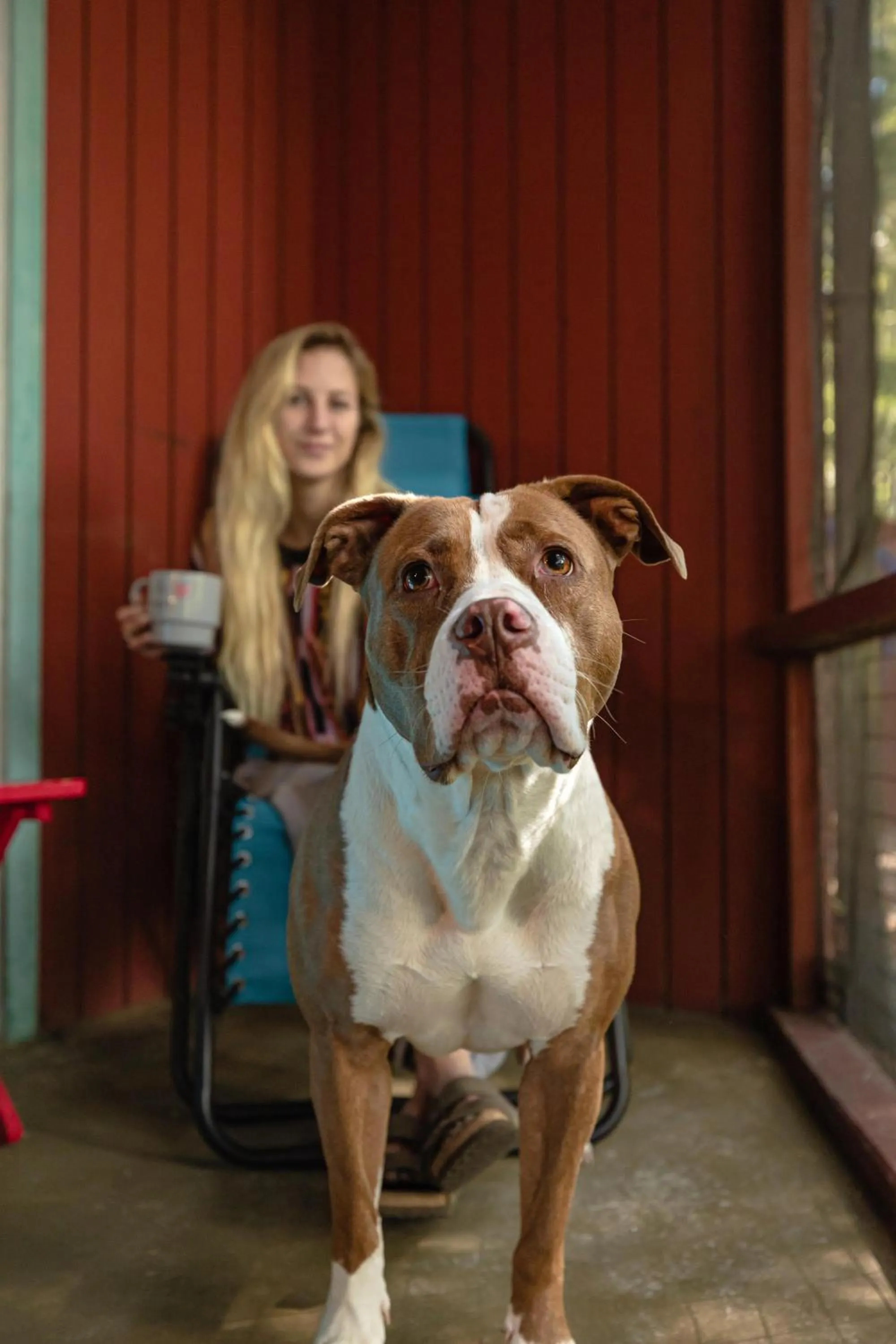 Animals in Motel Long Lake and Cottages