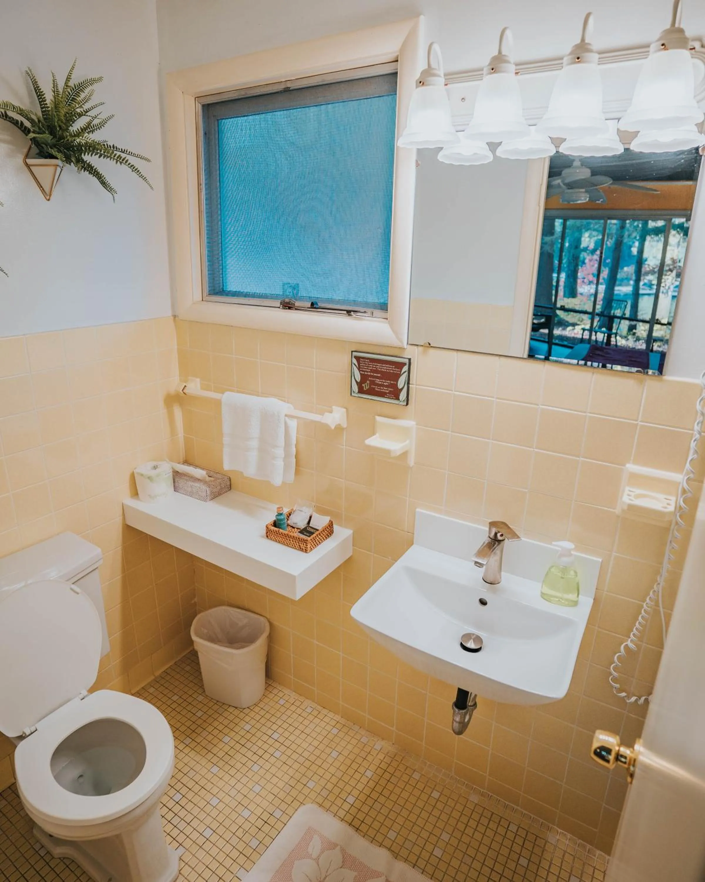 Toilet in Motel Long Lake and Cottages