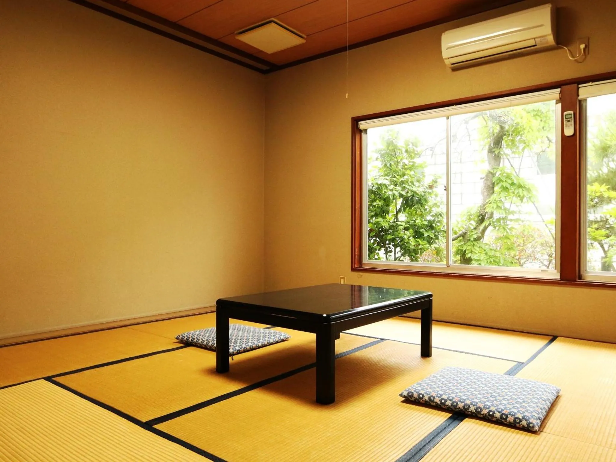 Photo of the whole room in Ryokan Kamomeso