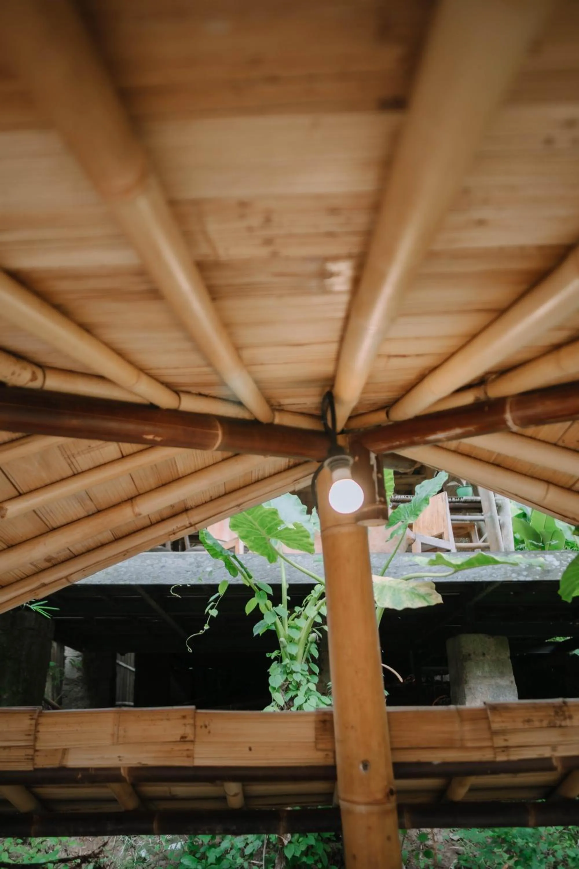 Sun Sang Eco Retreats