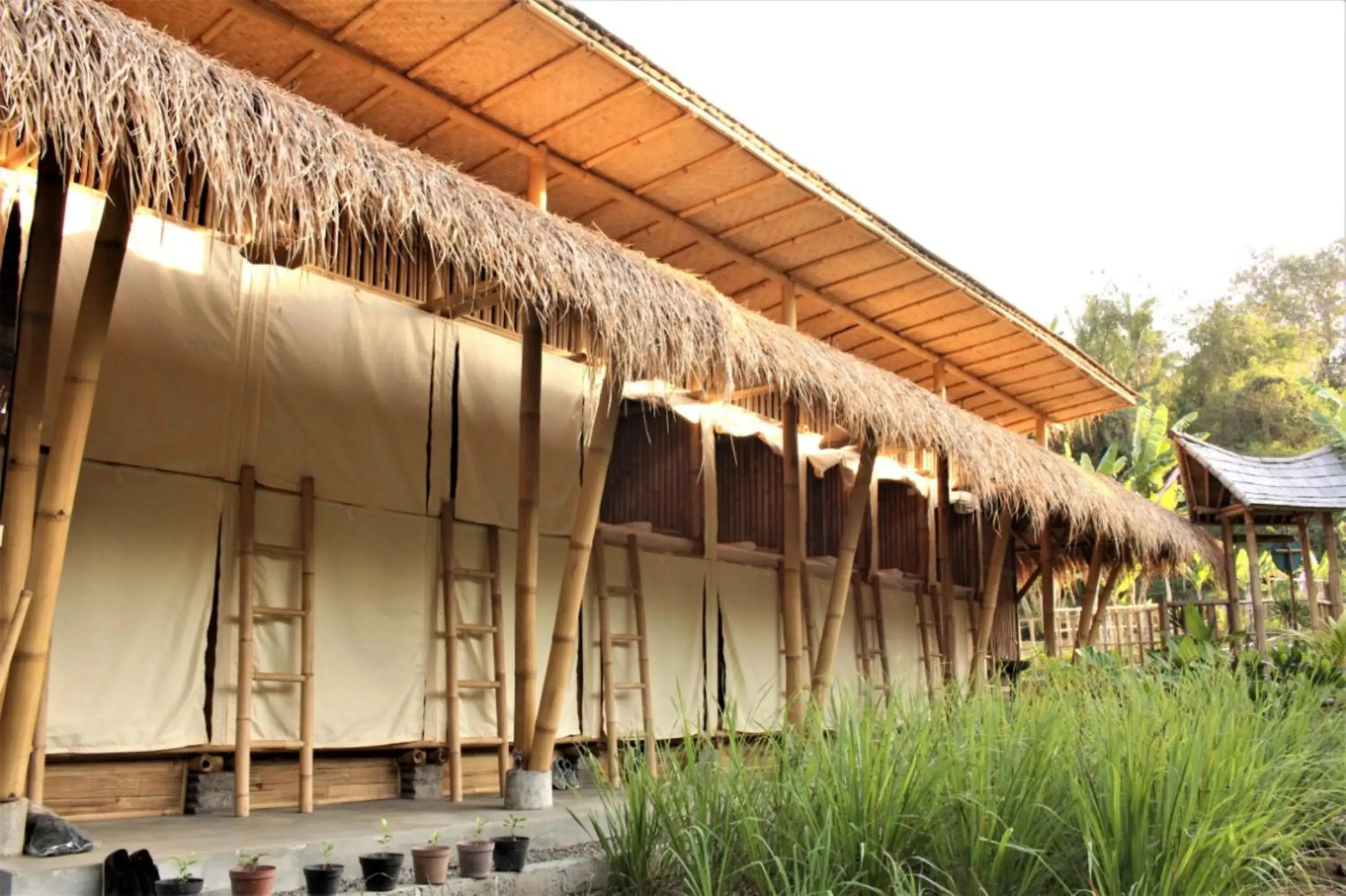 Small Single Room - single occupancy in Sun Sang Eco Retreats Small Single Room - single occupancy in Sun Sang Eco Retreats
