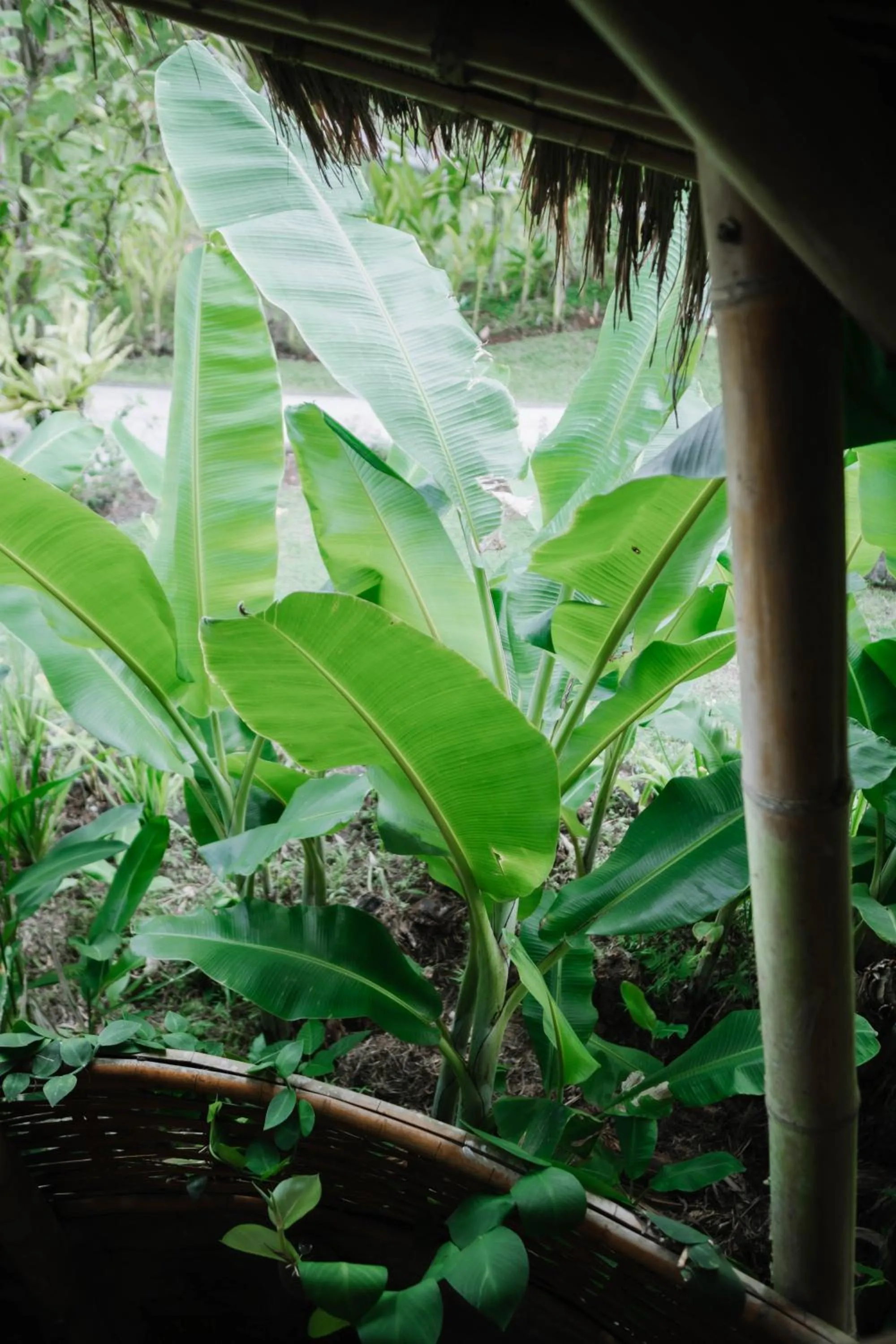 Sun Sang Eco Retreats