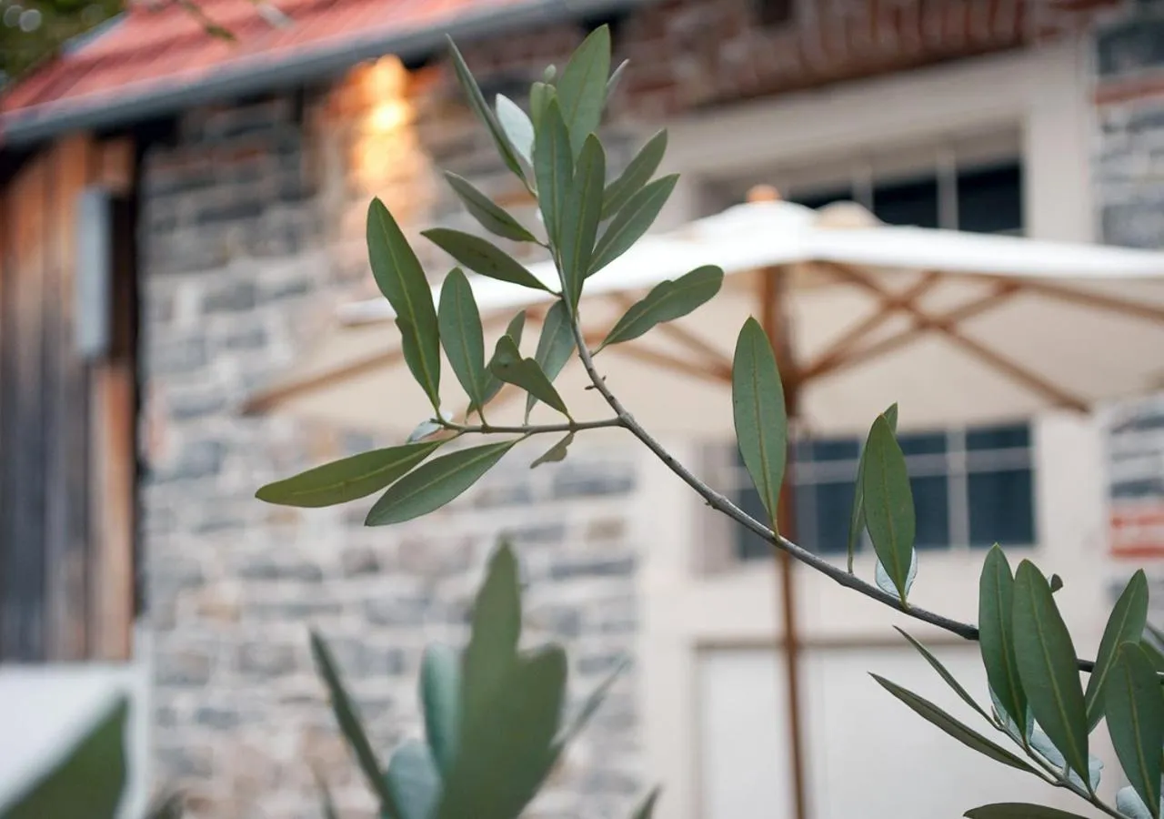 Patio in Der Grüne Baum