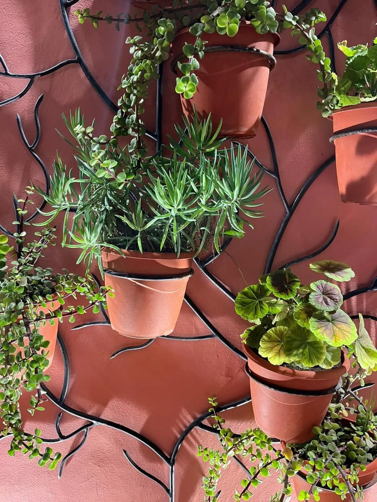 Balcony/Terrace in Dar Lantana