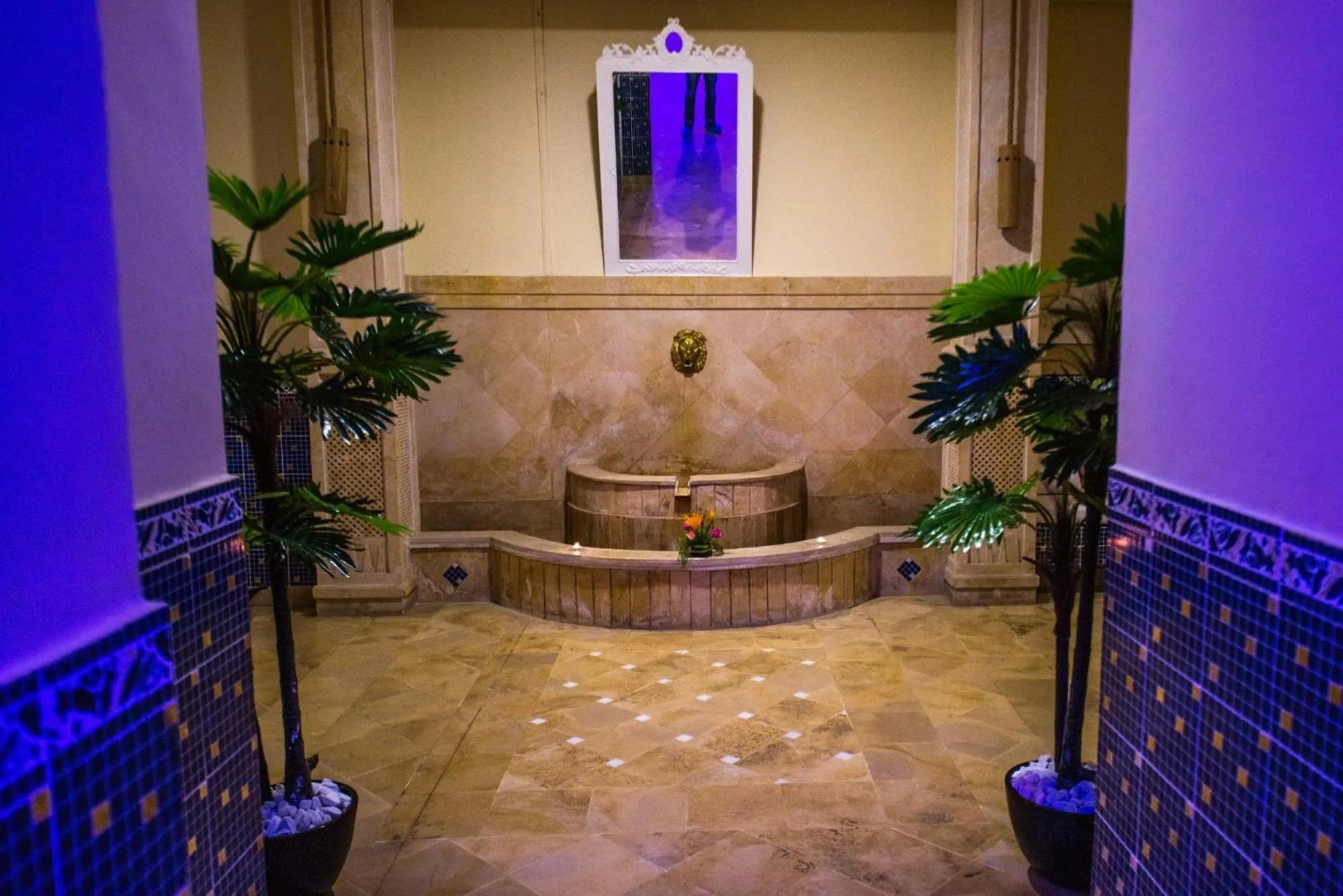 Spa and wellness centre/facilities in Carthage Thalasso Resort