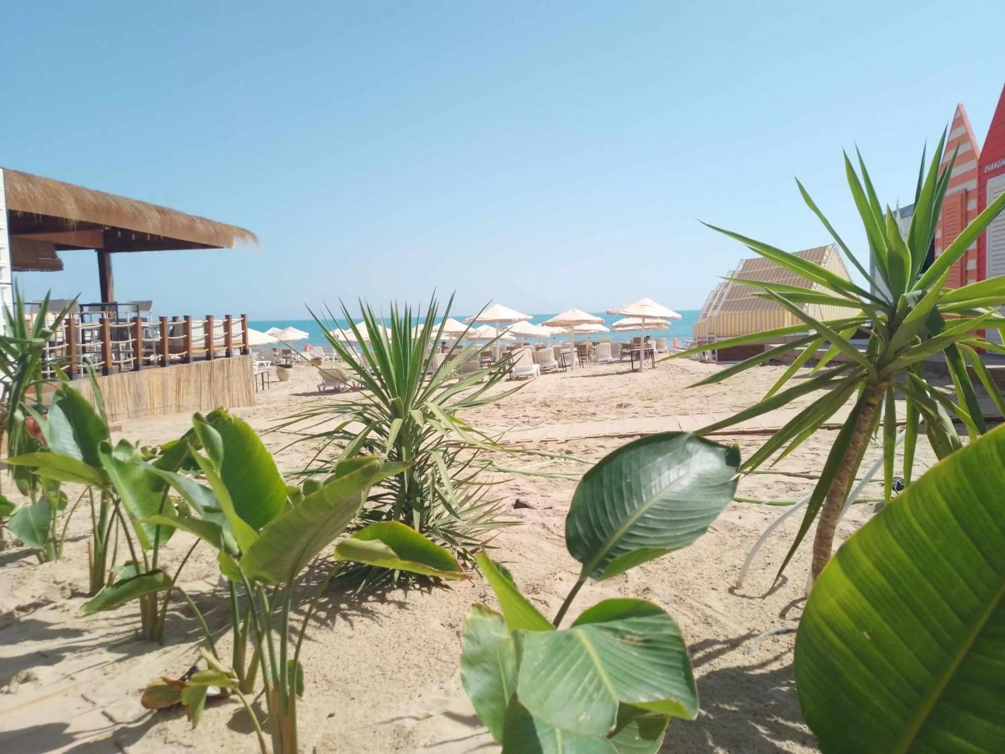 Beach in Carthage Thalasso Resort