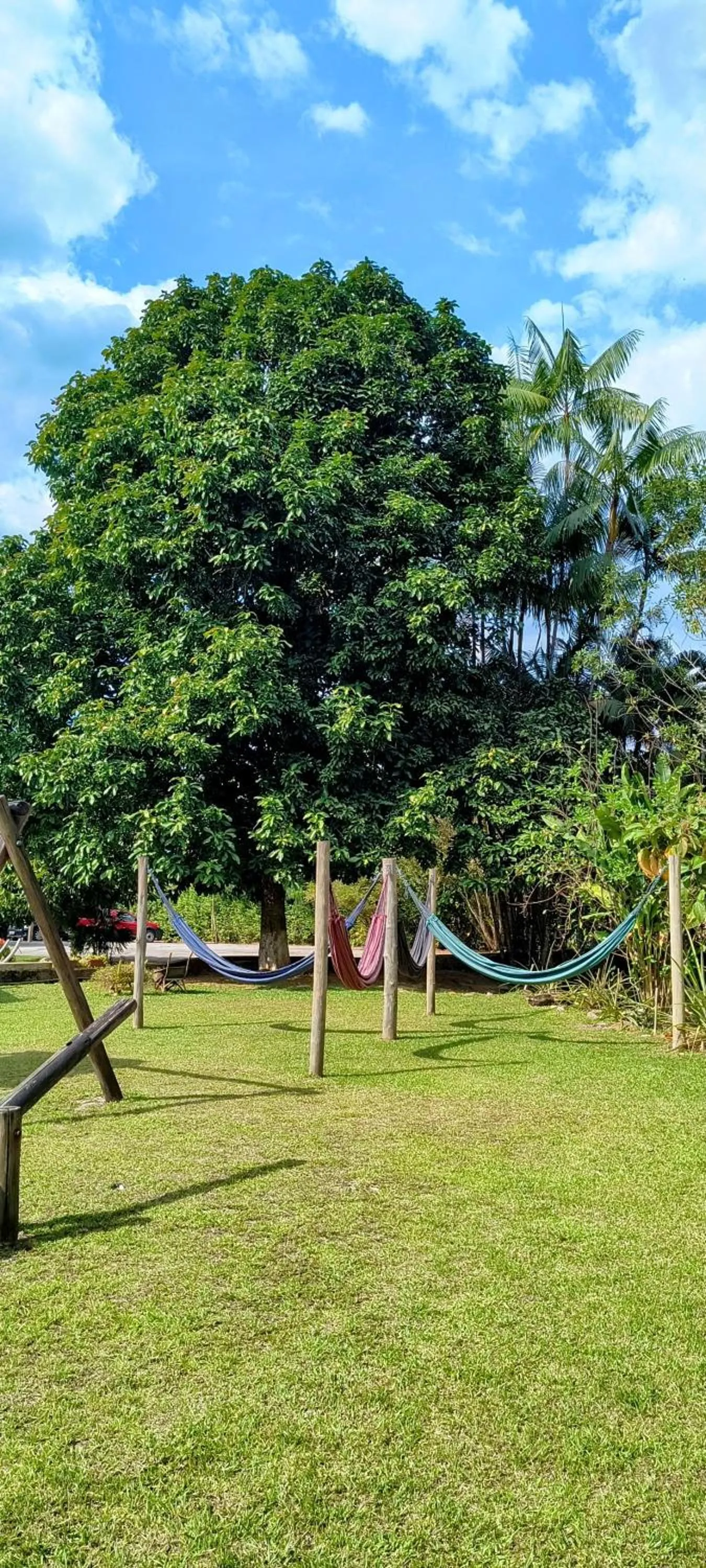Garden in Pousada Cantinho do Sossego localizada do lado Norte de Paraty próxima as Praias de Sao Gonçalo São Gonçalinho Aldeia dos Pataxós Cachoeira do Crepusculo Ilha do Pelad e muito mais