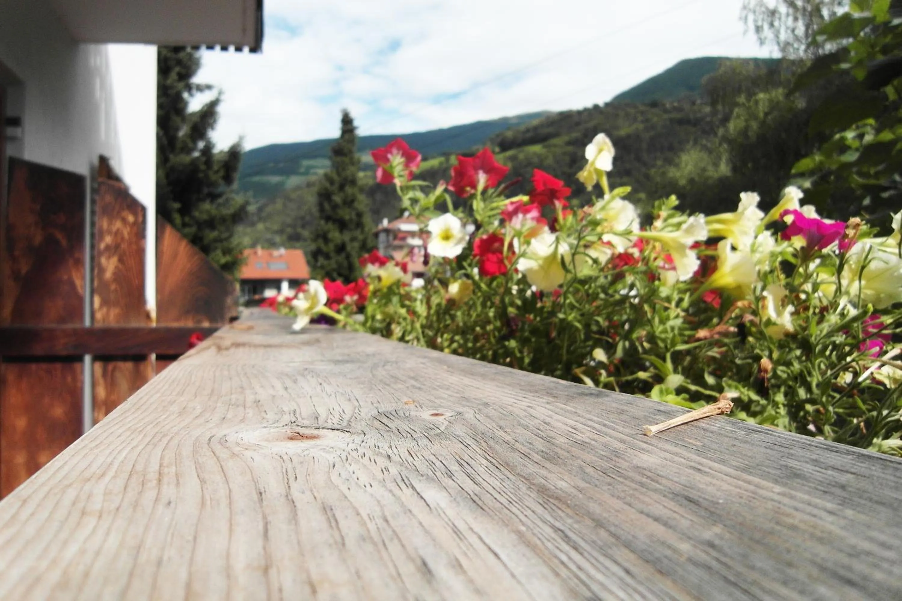 Balcony/Terrace in Residence Hofer