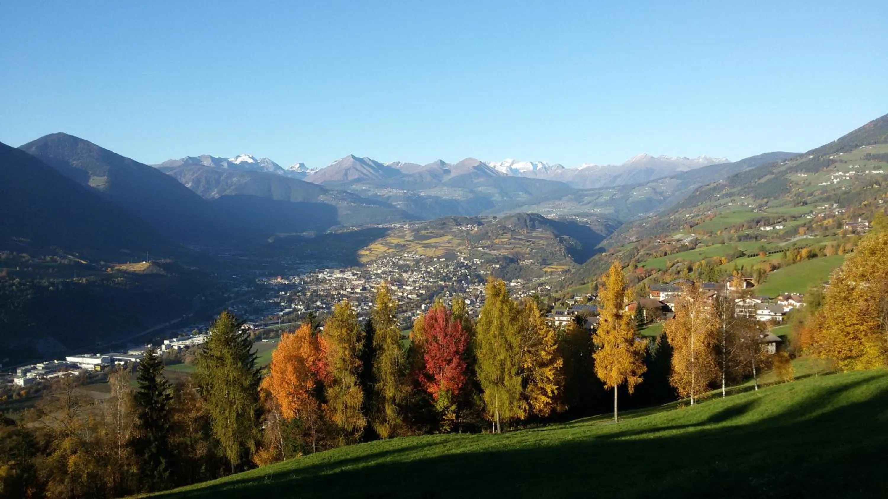 Day in Residence Hofer