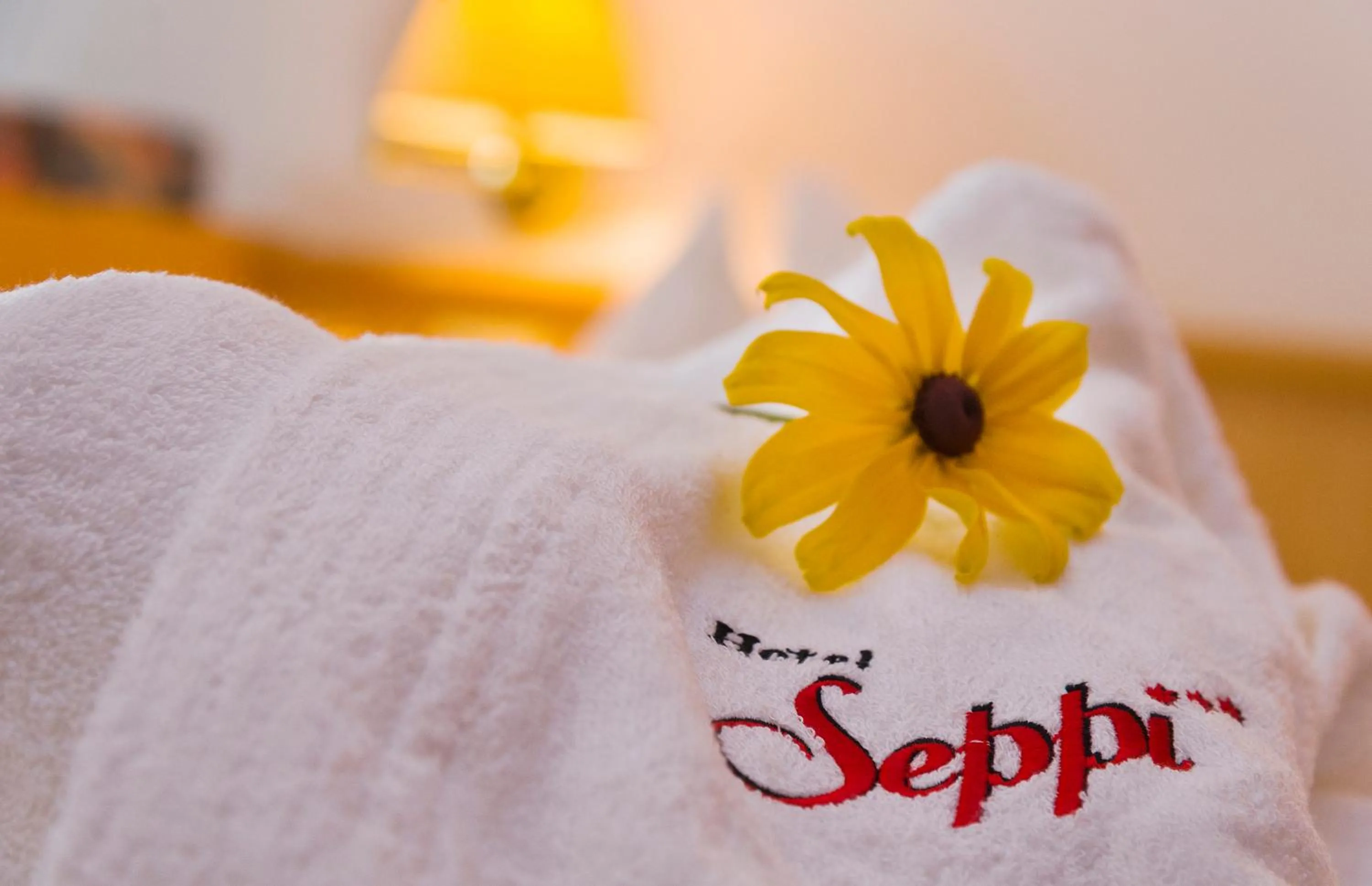 Hotel Seppi