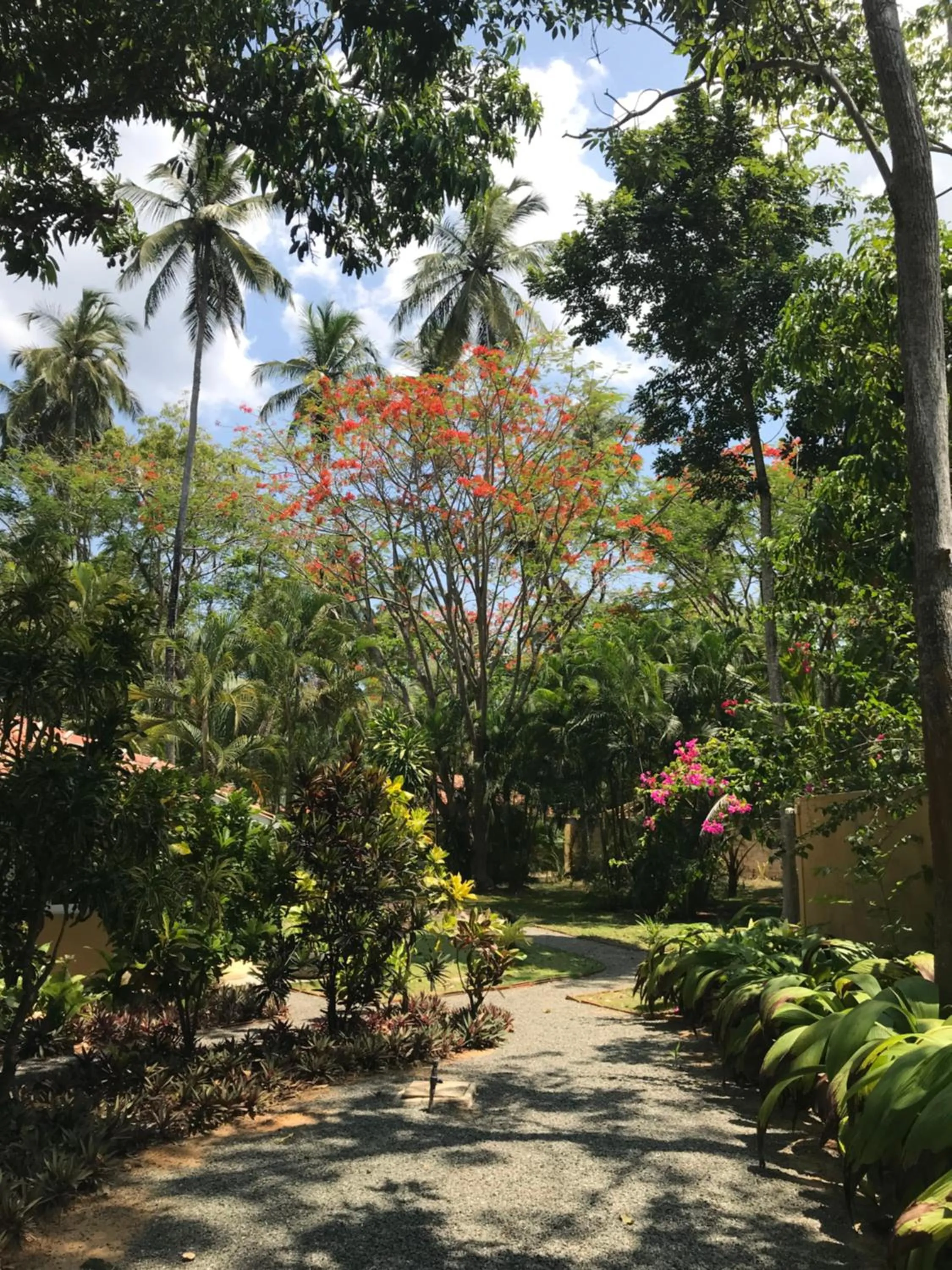 Natural landscape in FIVE