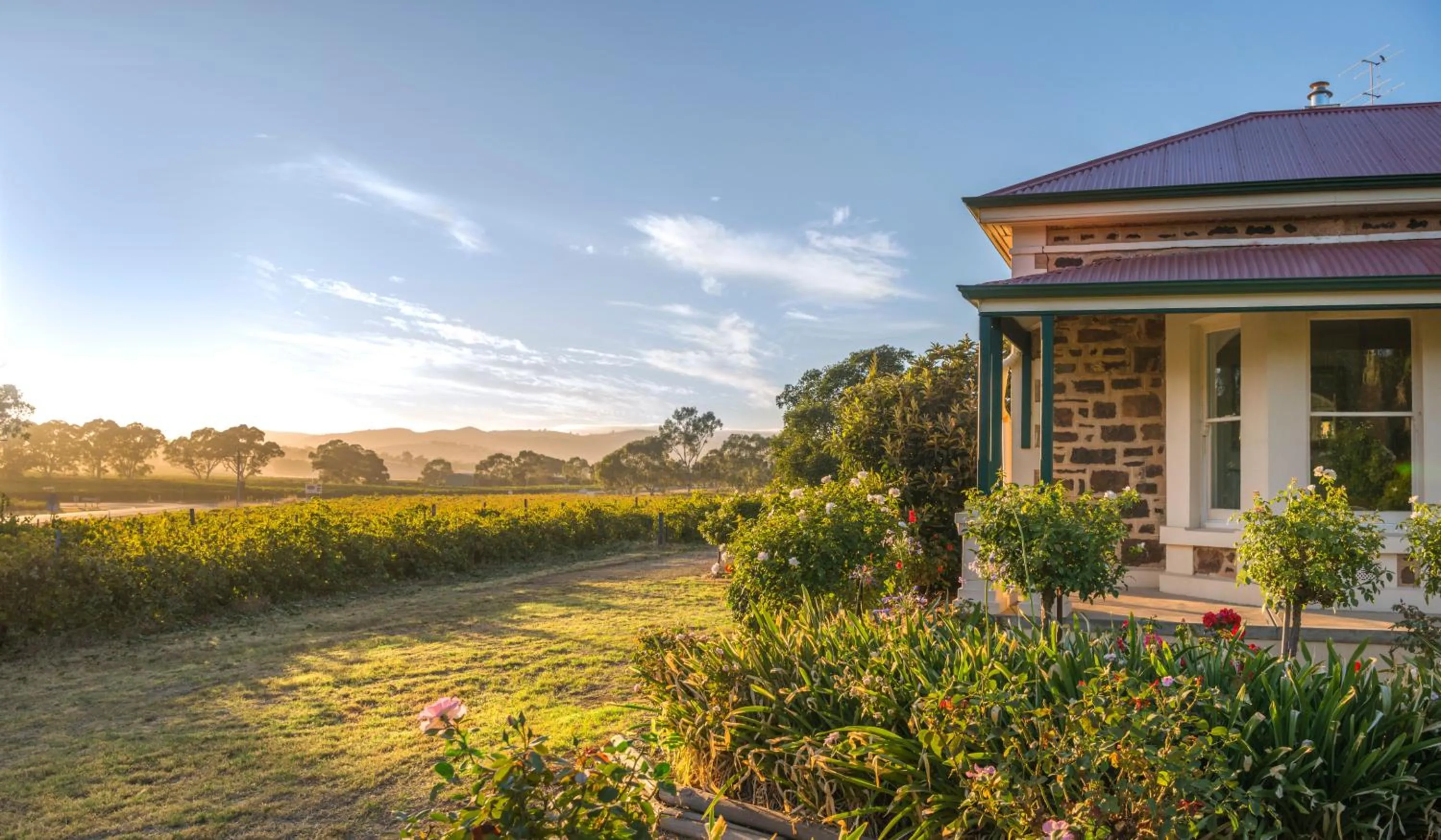 Property building in Barossa Shiraz Estate