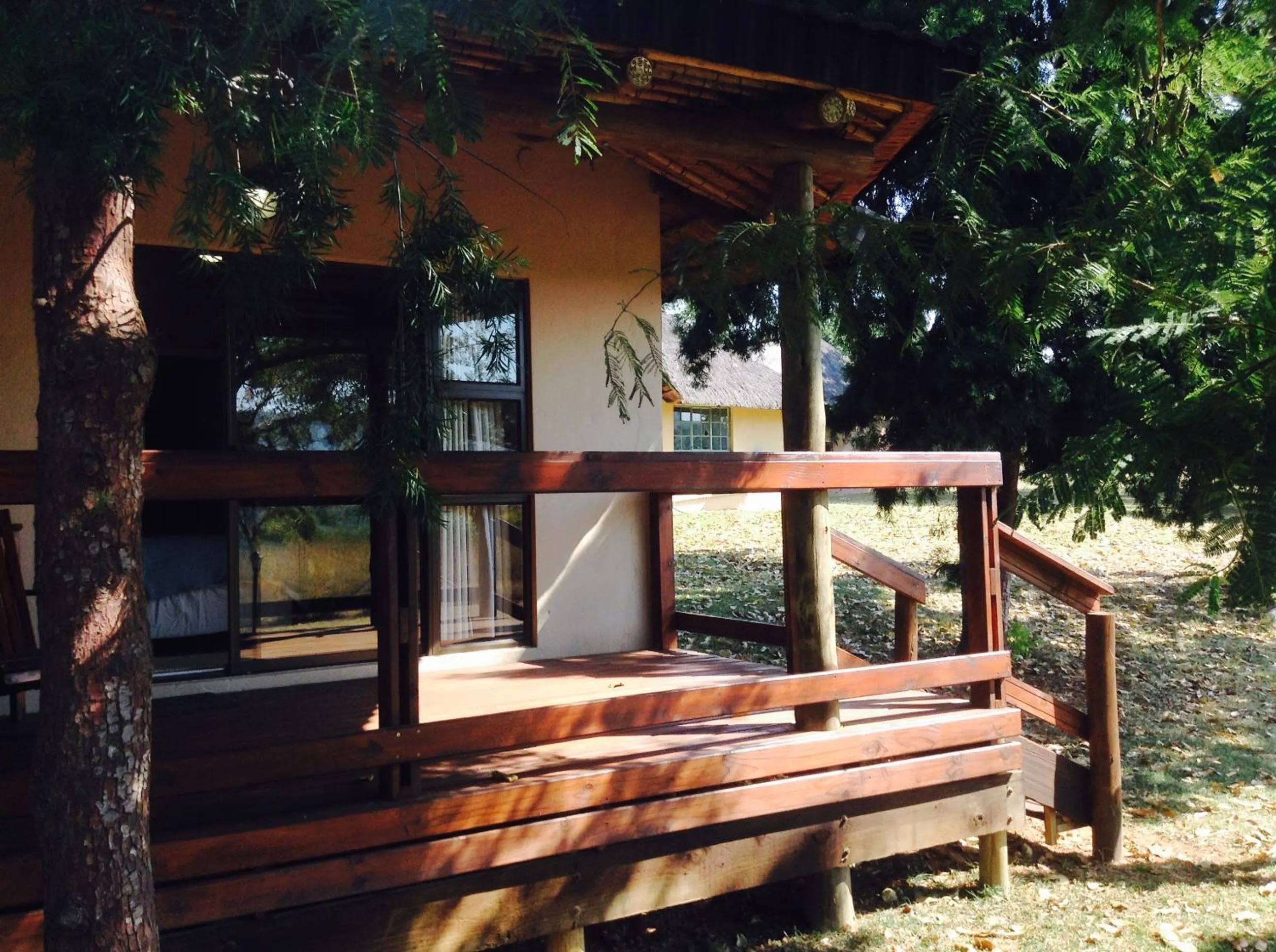 Jock of the Bushveld