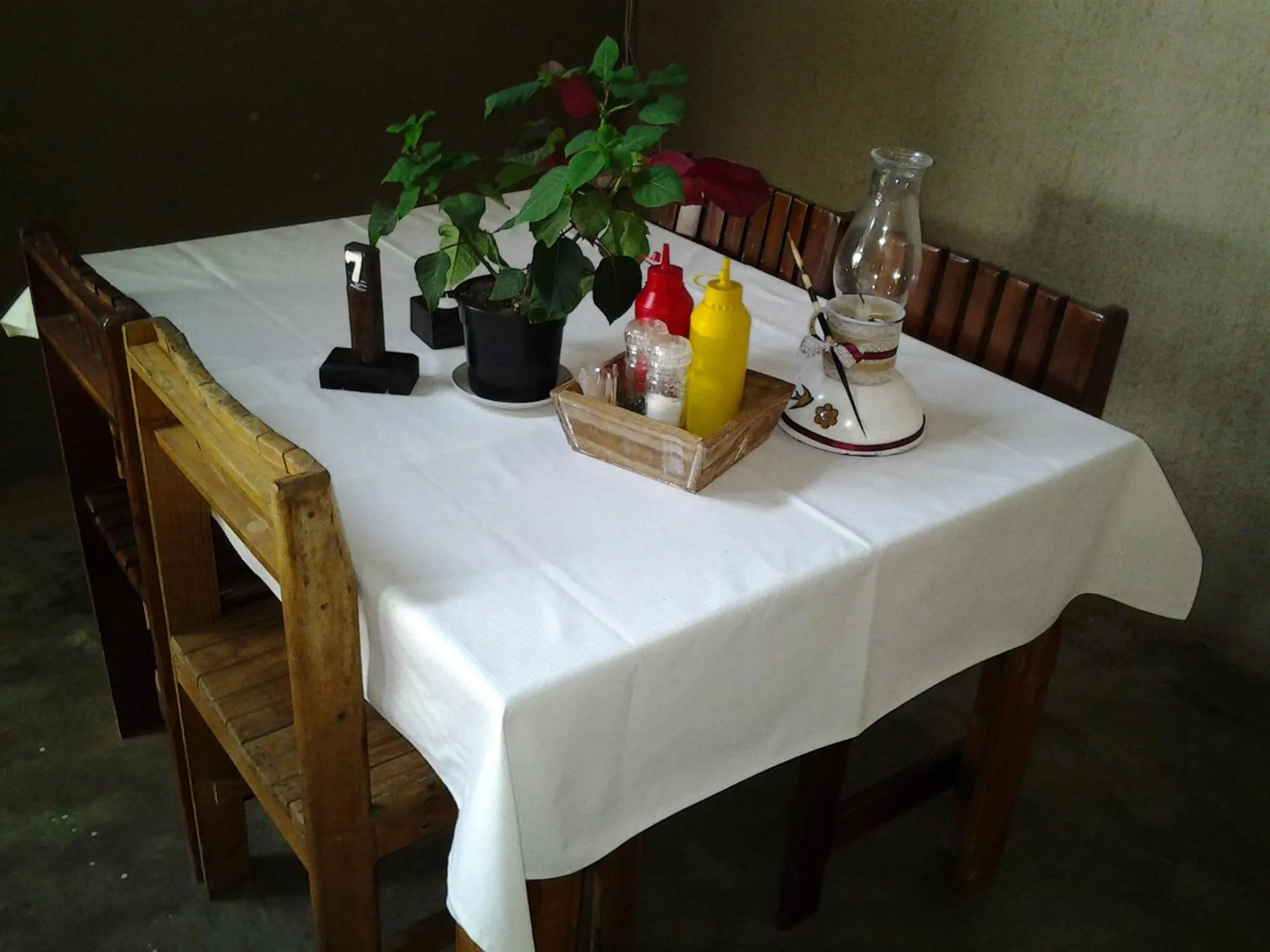 Jock of the Bushveld