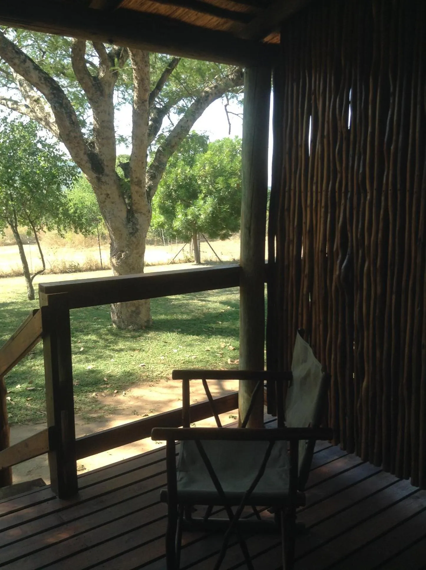 Jock of the Bushveld