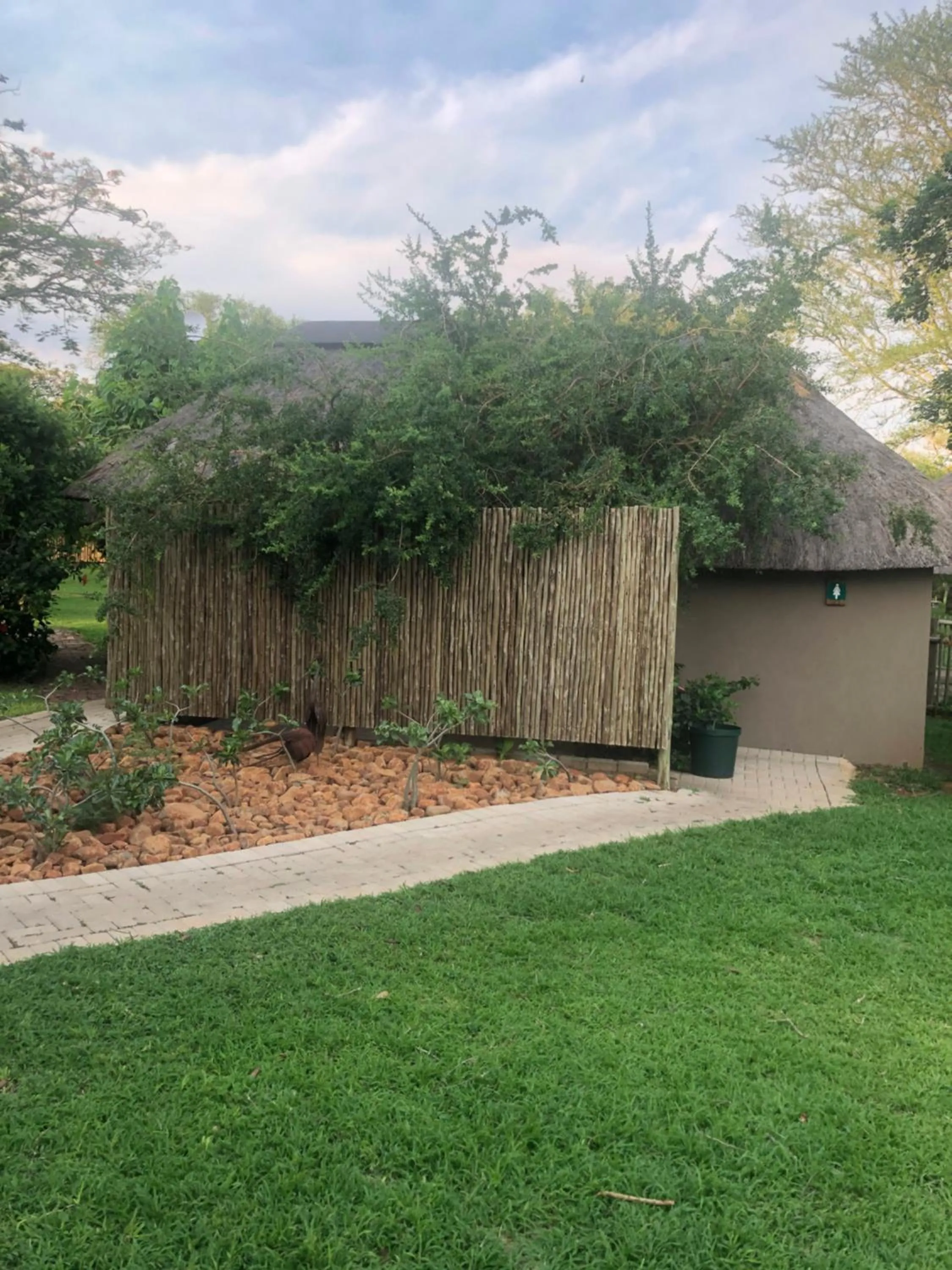 Property building in Jock of the Bushveld