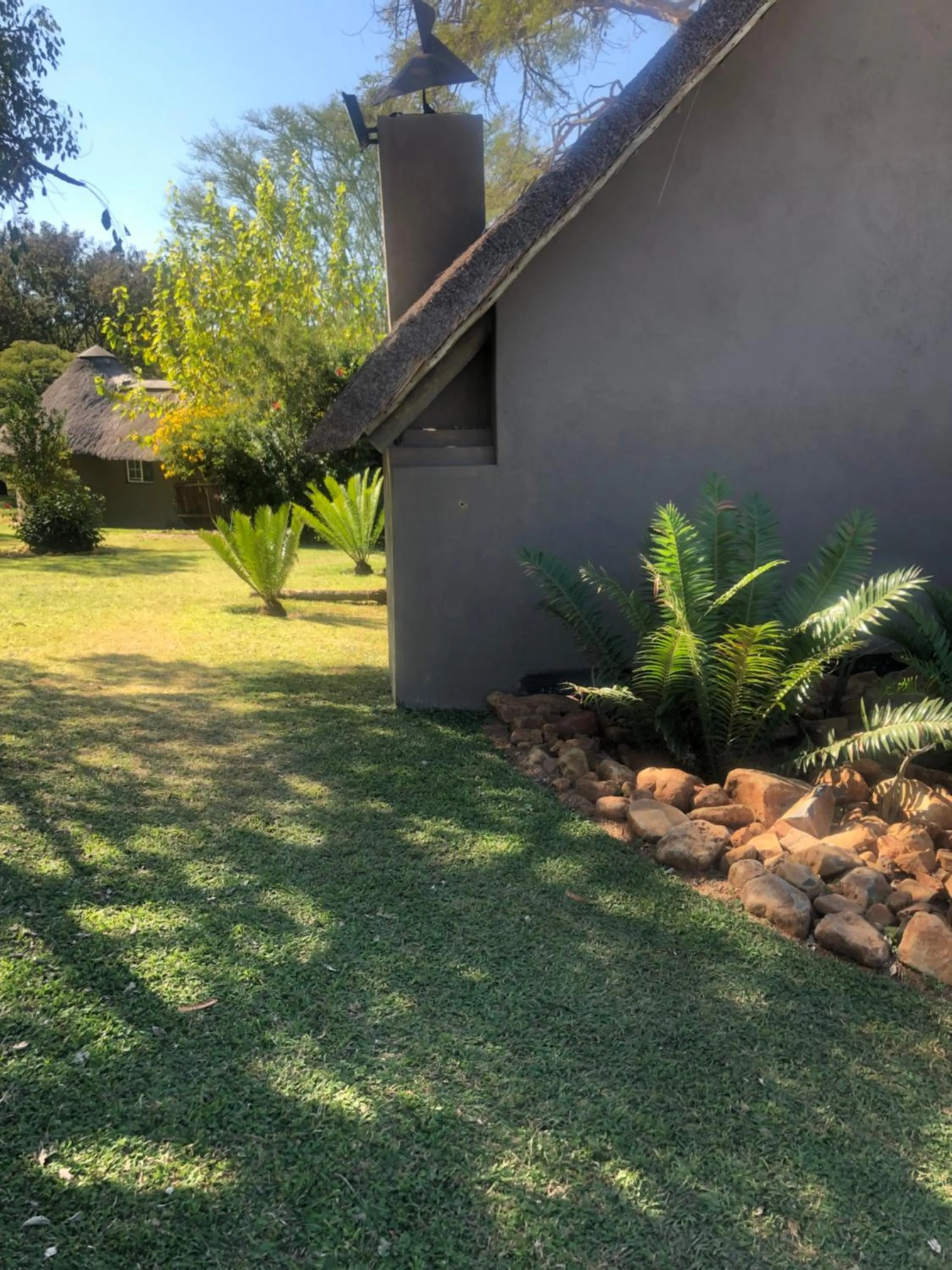 Jock of the Bushveld