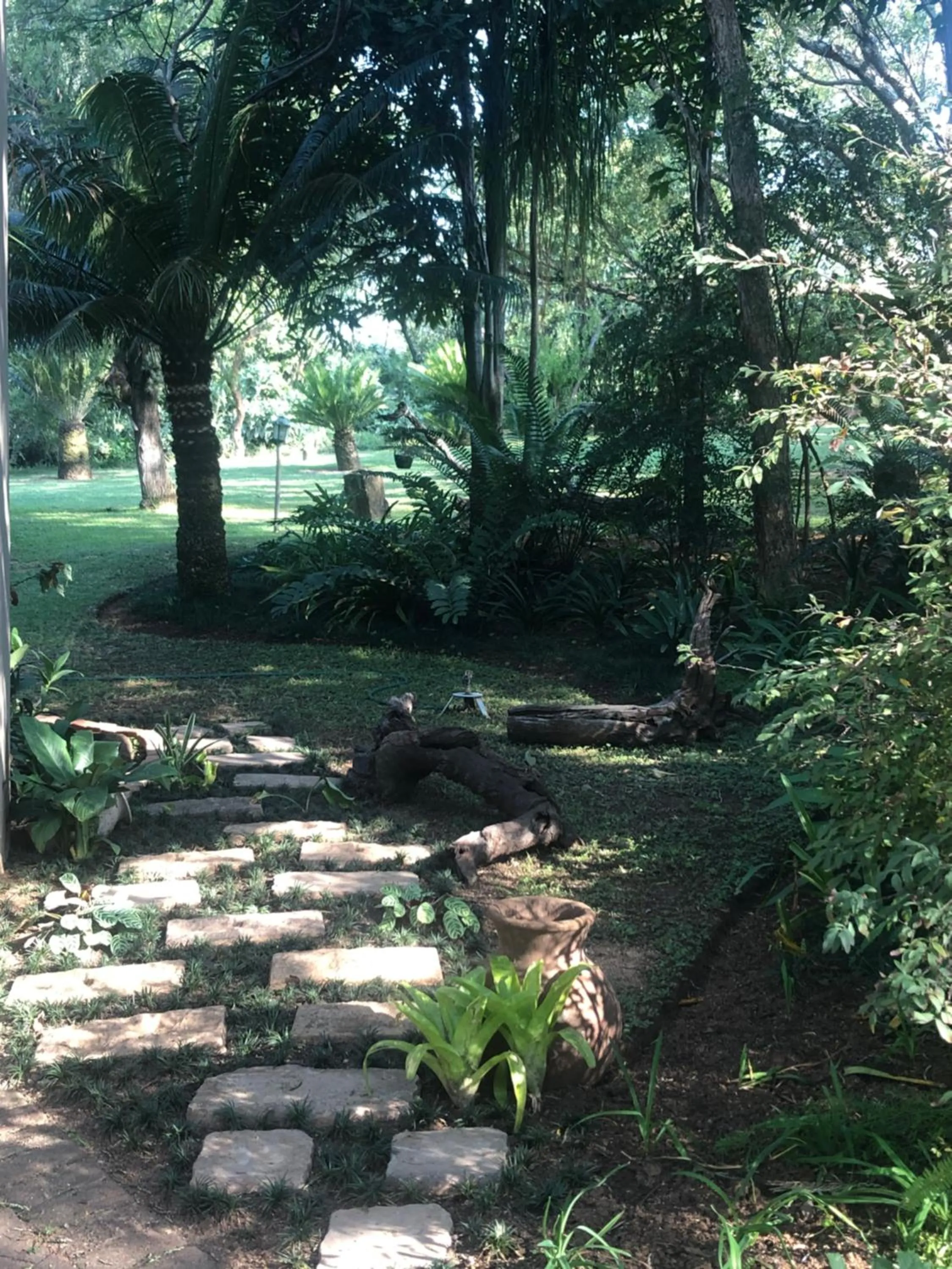 Jock of the Bushveld