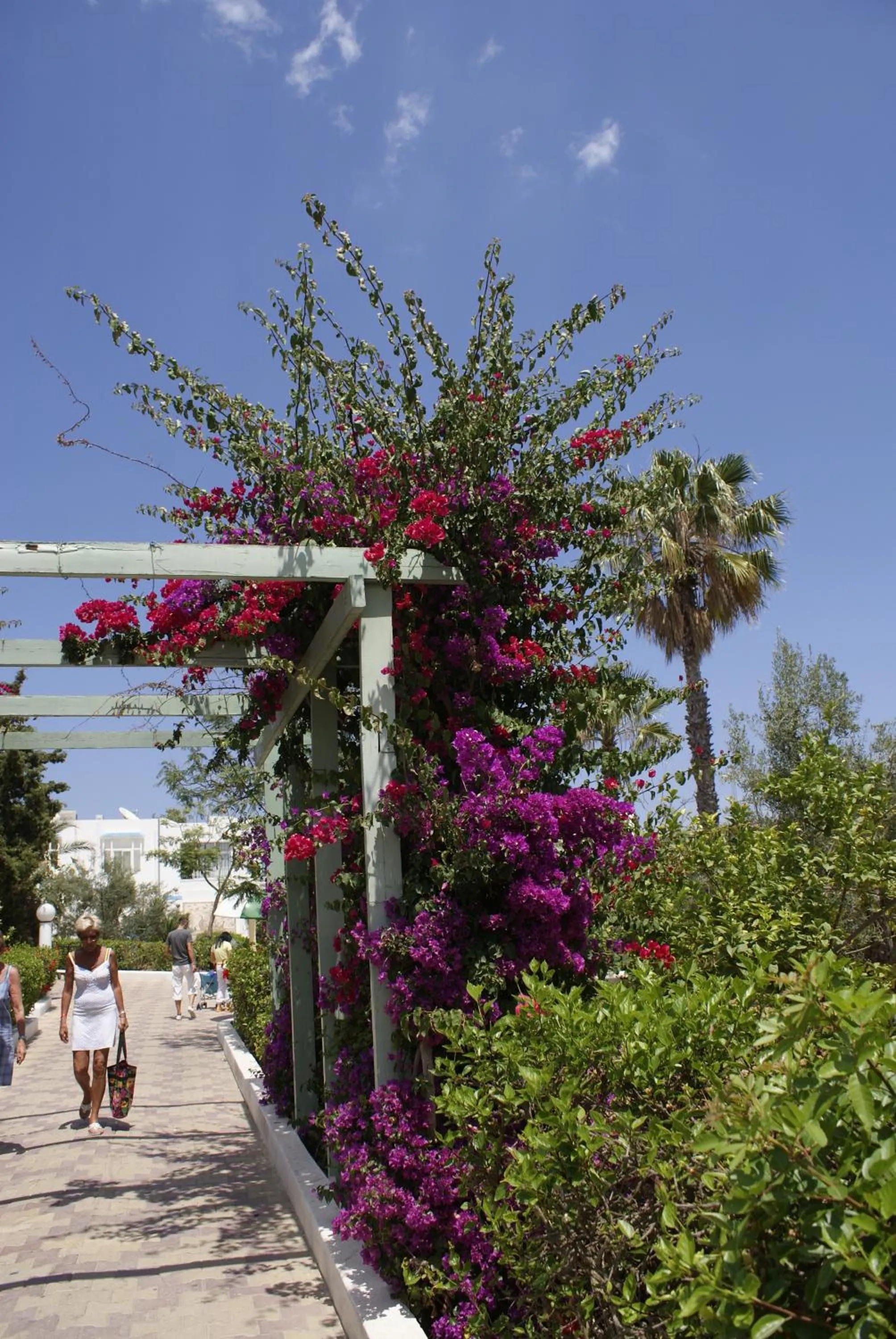 Floor plan in El Mouradi Club Selima