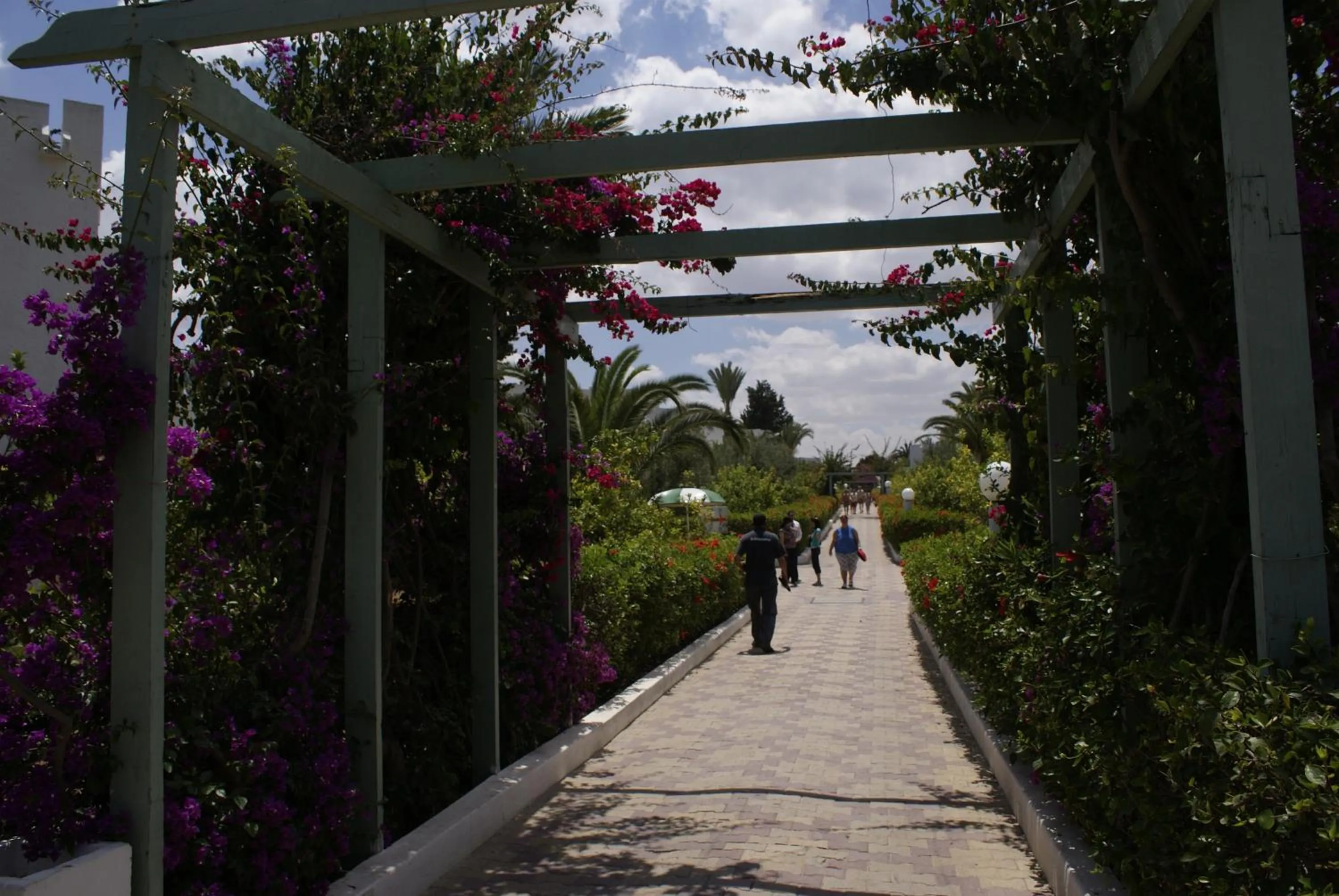 Floor plan in El Mouradi Club Selima