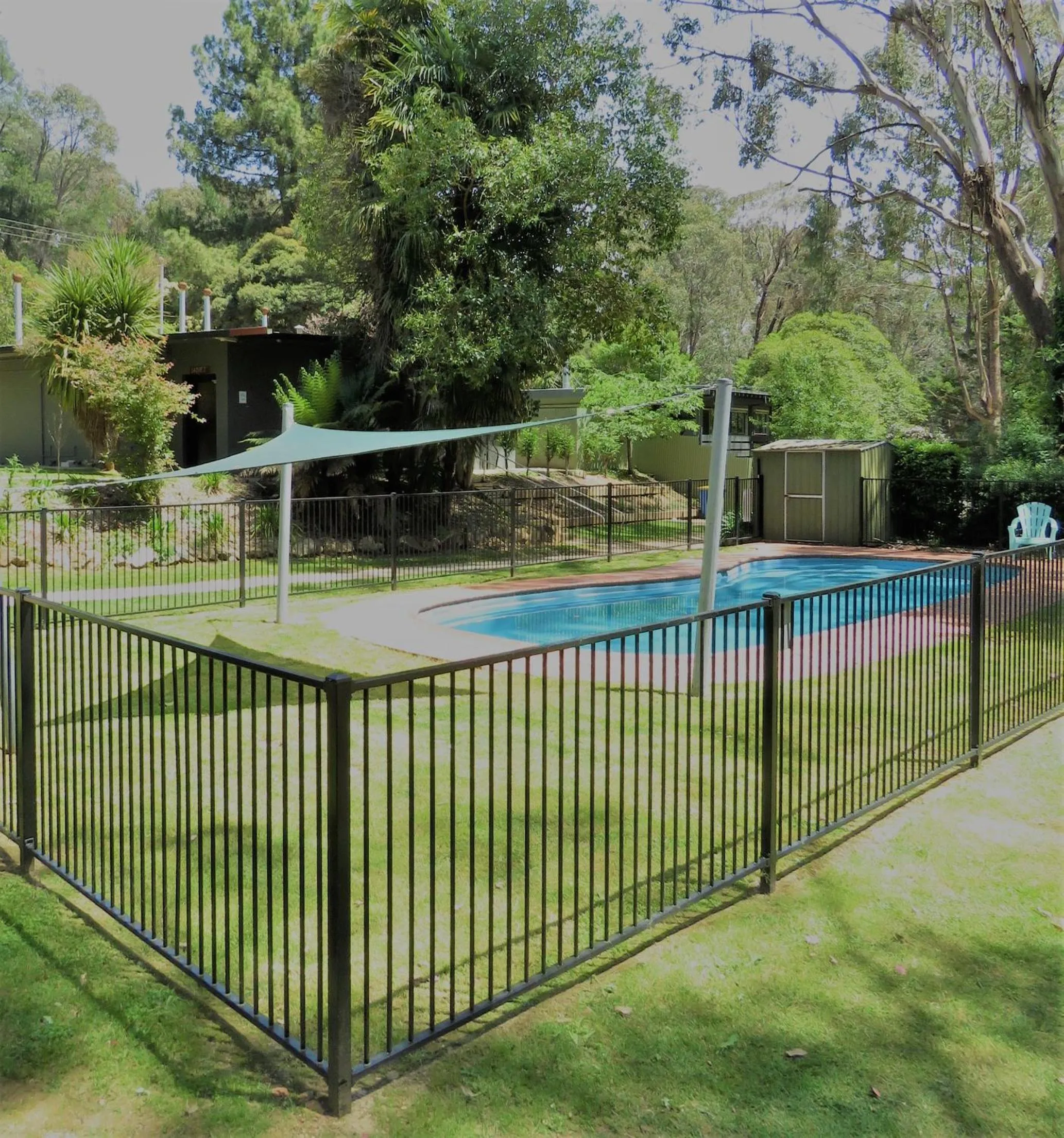 Swimming pool in Beechworth Holiday Park