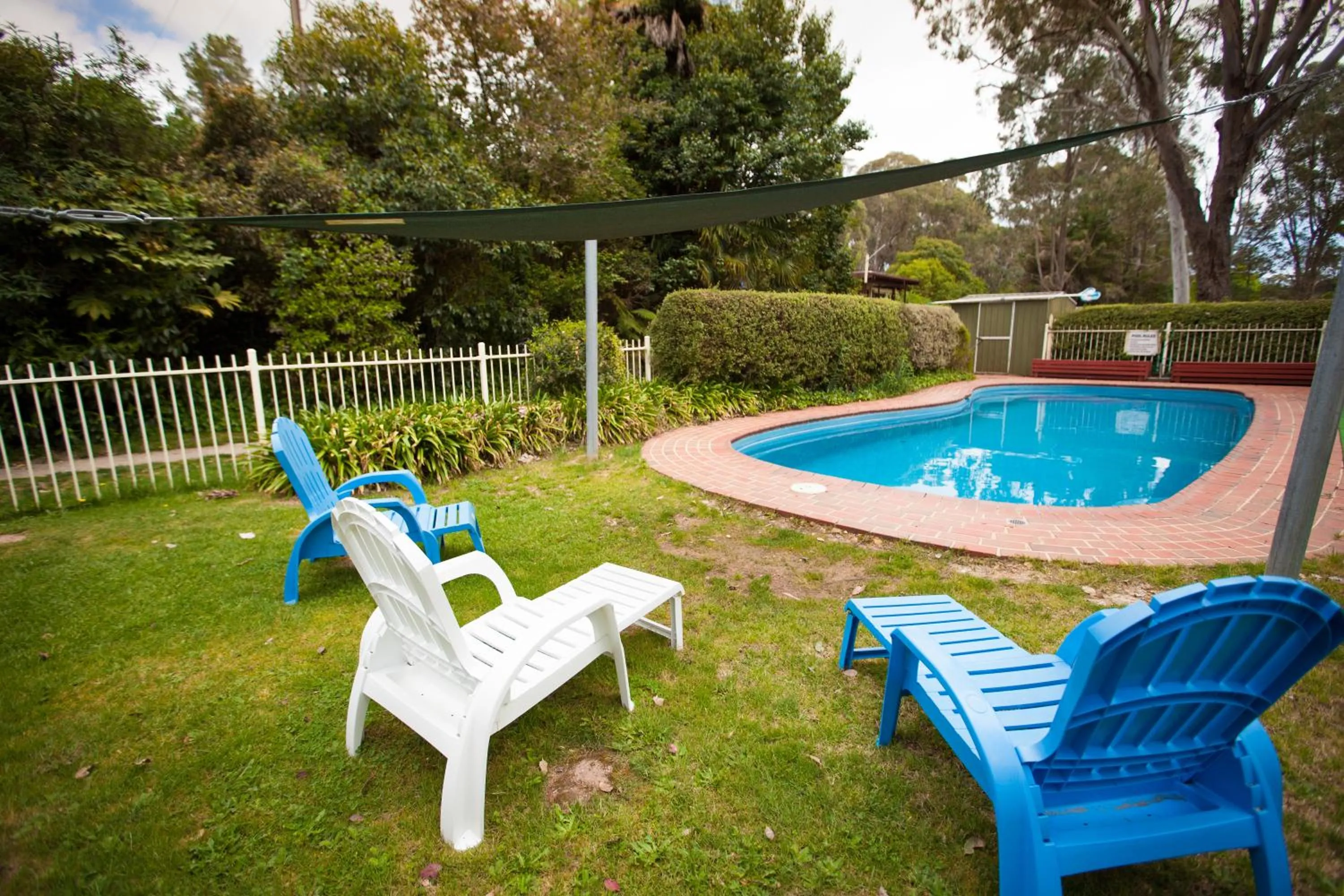 Swimming pool in Beechworth Holiday Park