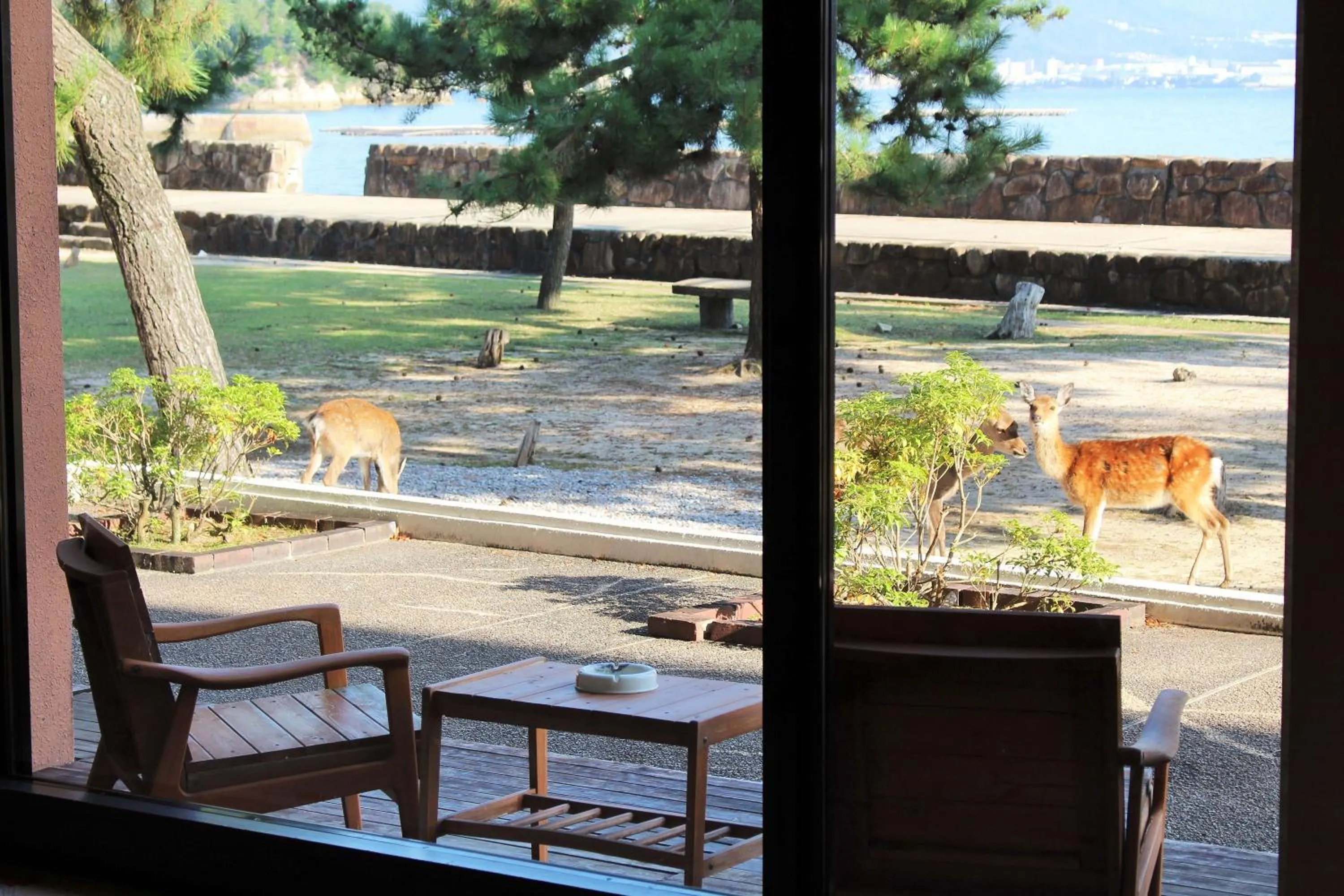 Garden view in Miyajima Seaside Hotel