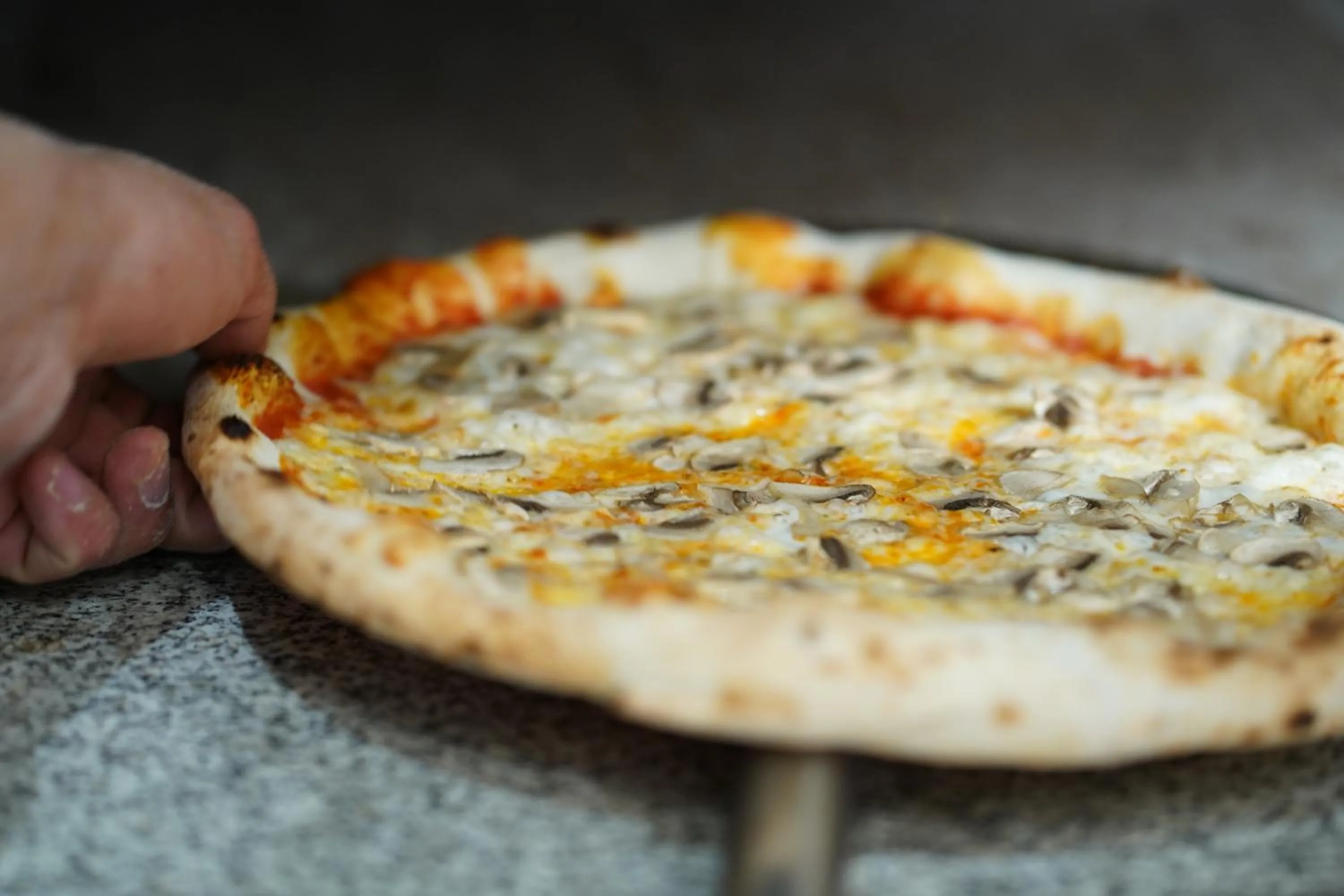 Food close-up in Wave Resort - Ultra All Inclusive