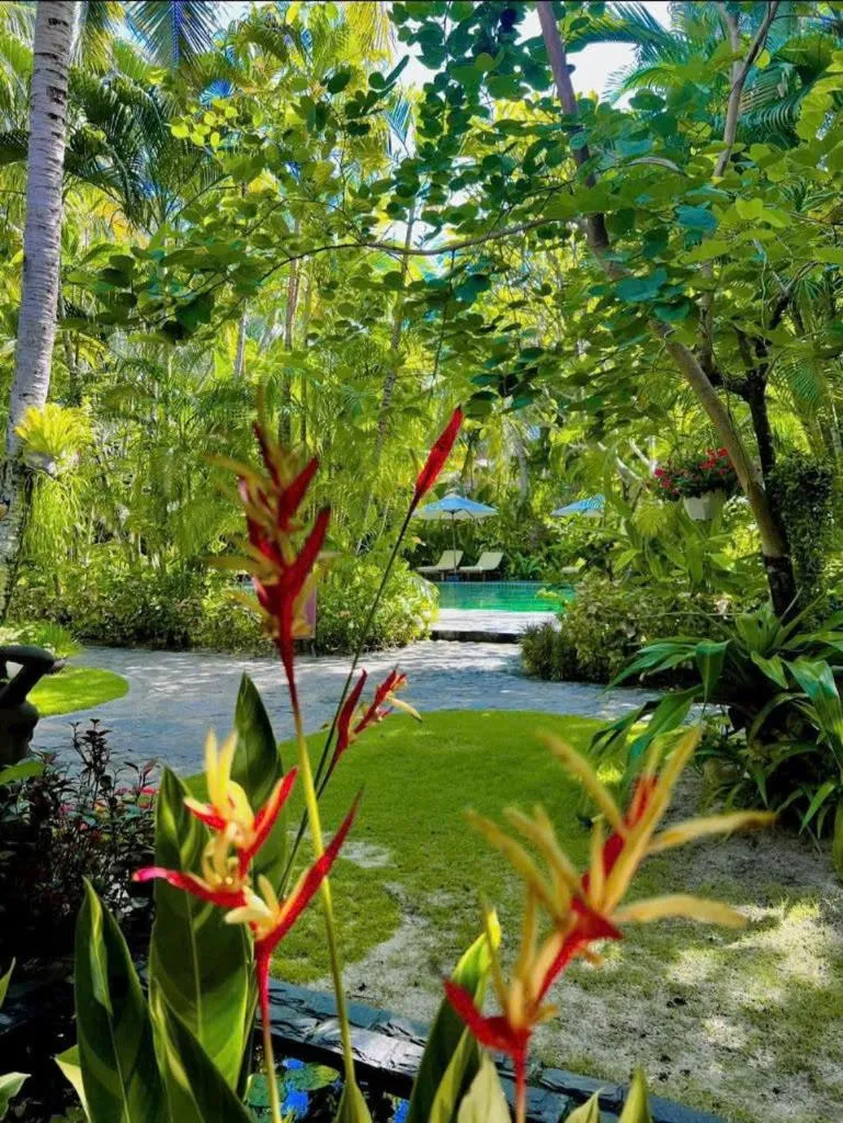 Garden in Cham Villas Resort